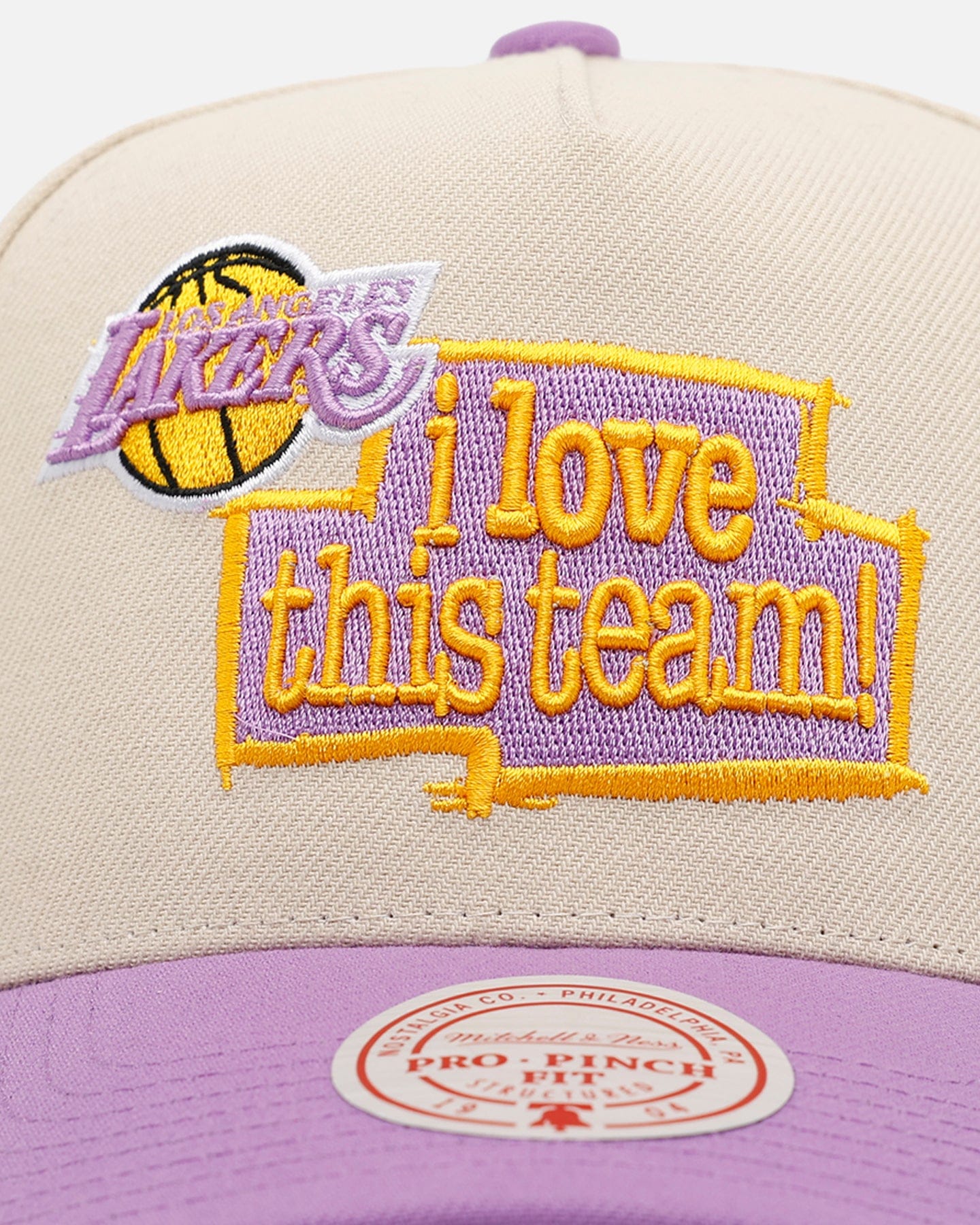 Mitchell & NESS Los Angeles Lakers Love Pro Pinch Snapback OTC