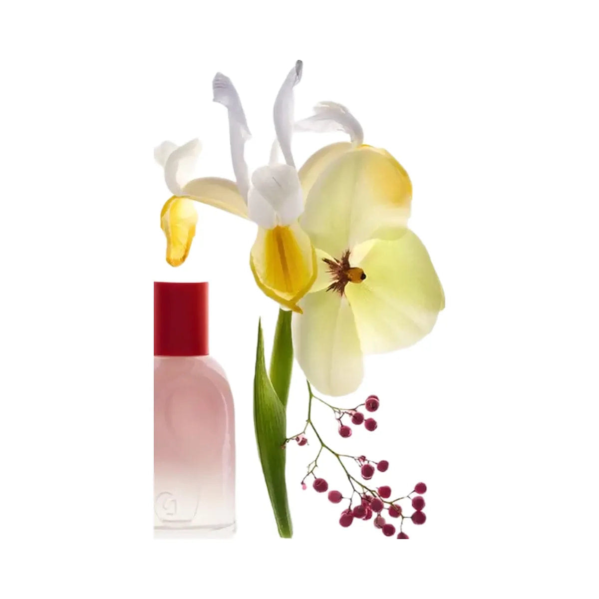 Discovery Glossier Glossier You Perfume Discovery Set