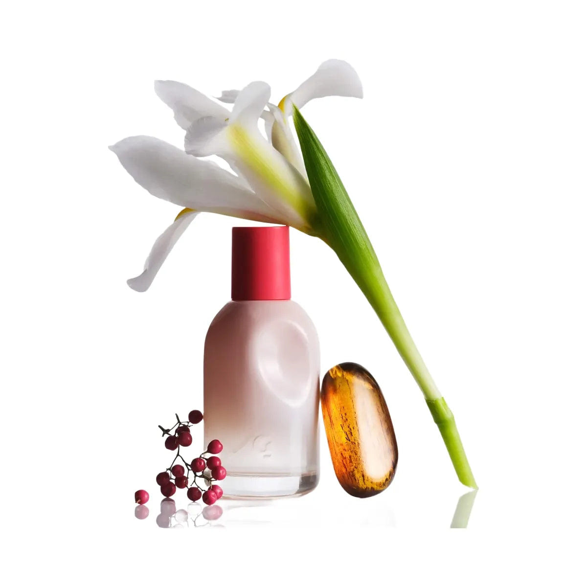 Discovery Glossier Glossier You Perfume Discovery Set