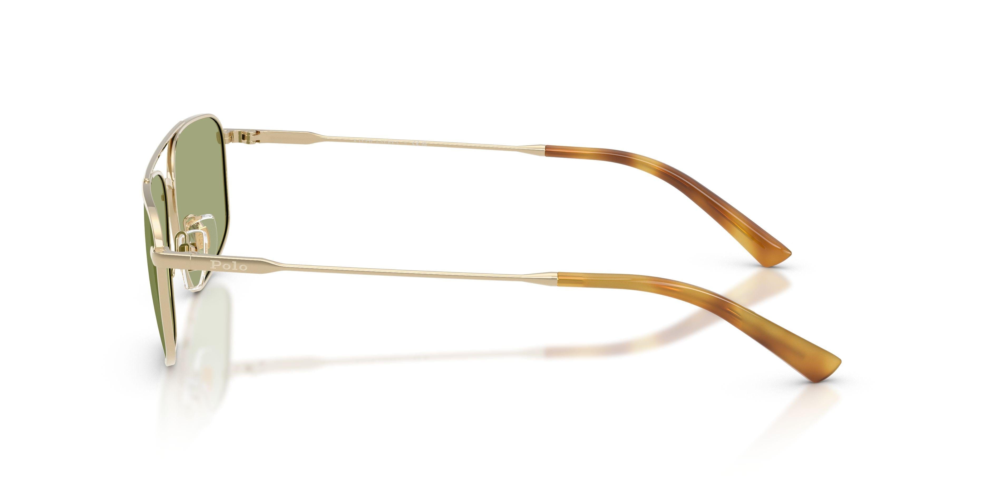 Polo 3164 Sunglasses