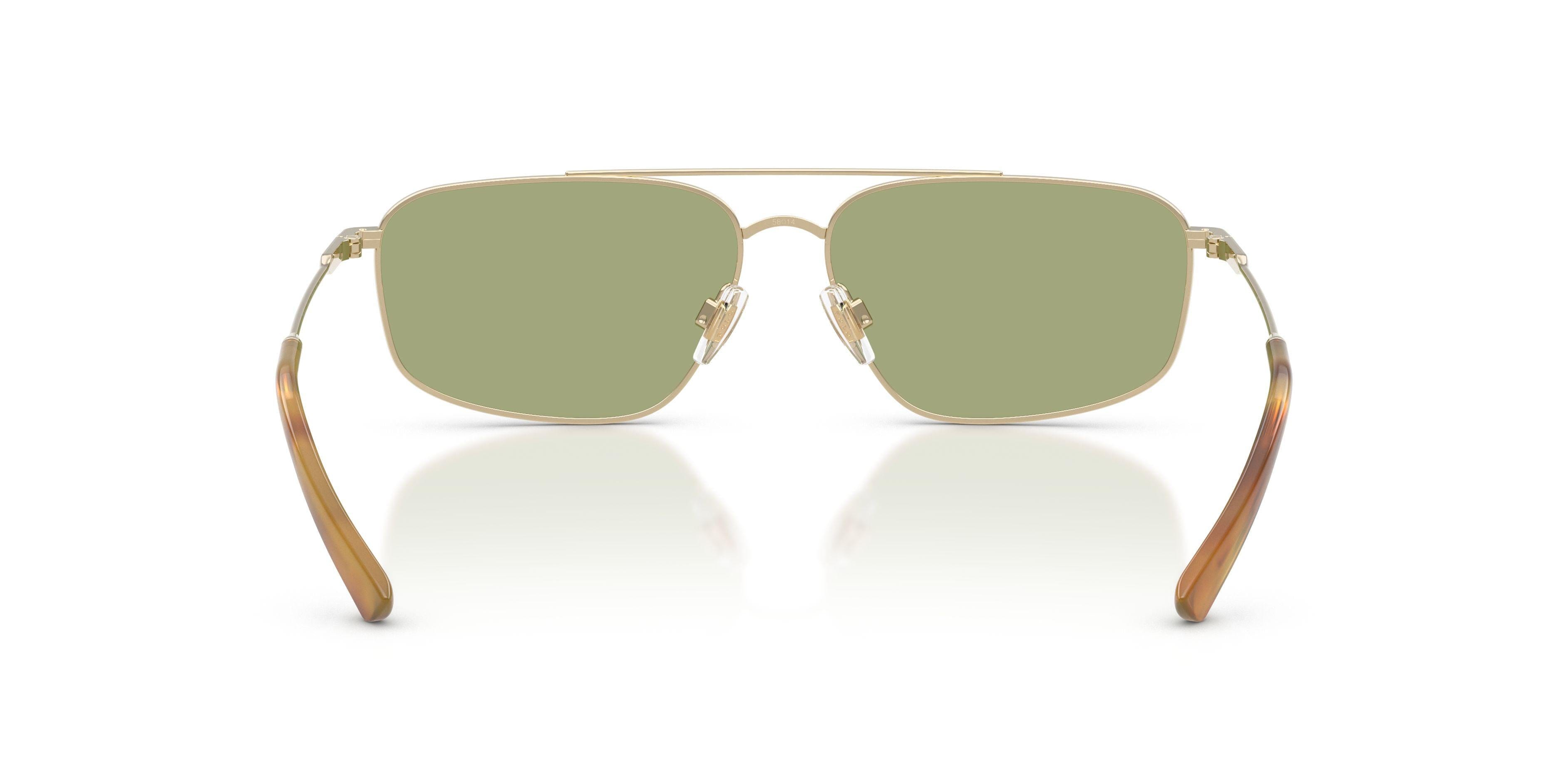 Polo 3164 Sunglasses