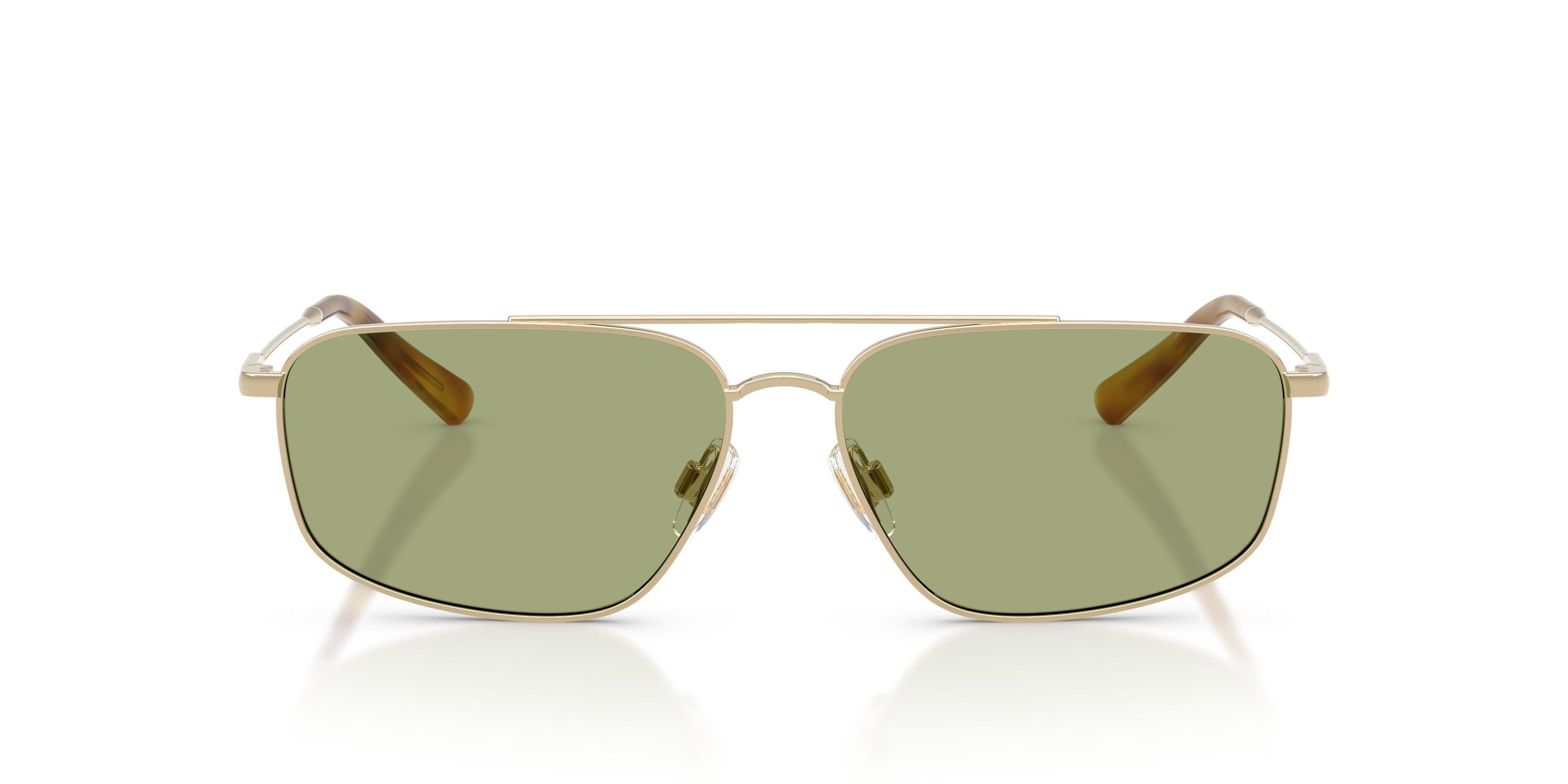 Polo 3164 Sunglasses
