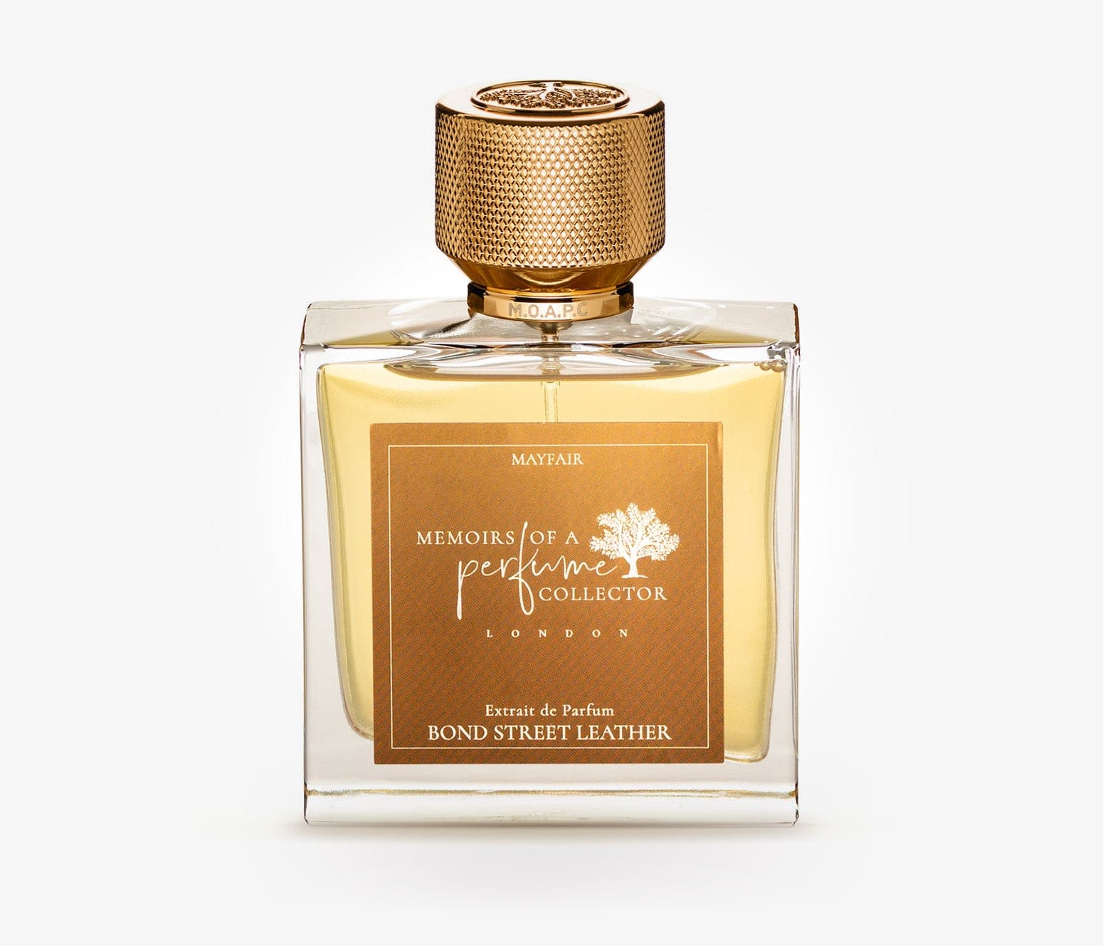 Memoirs of A Perfume Collector Bond Street Leather
