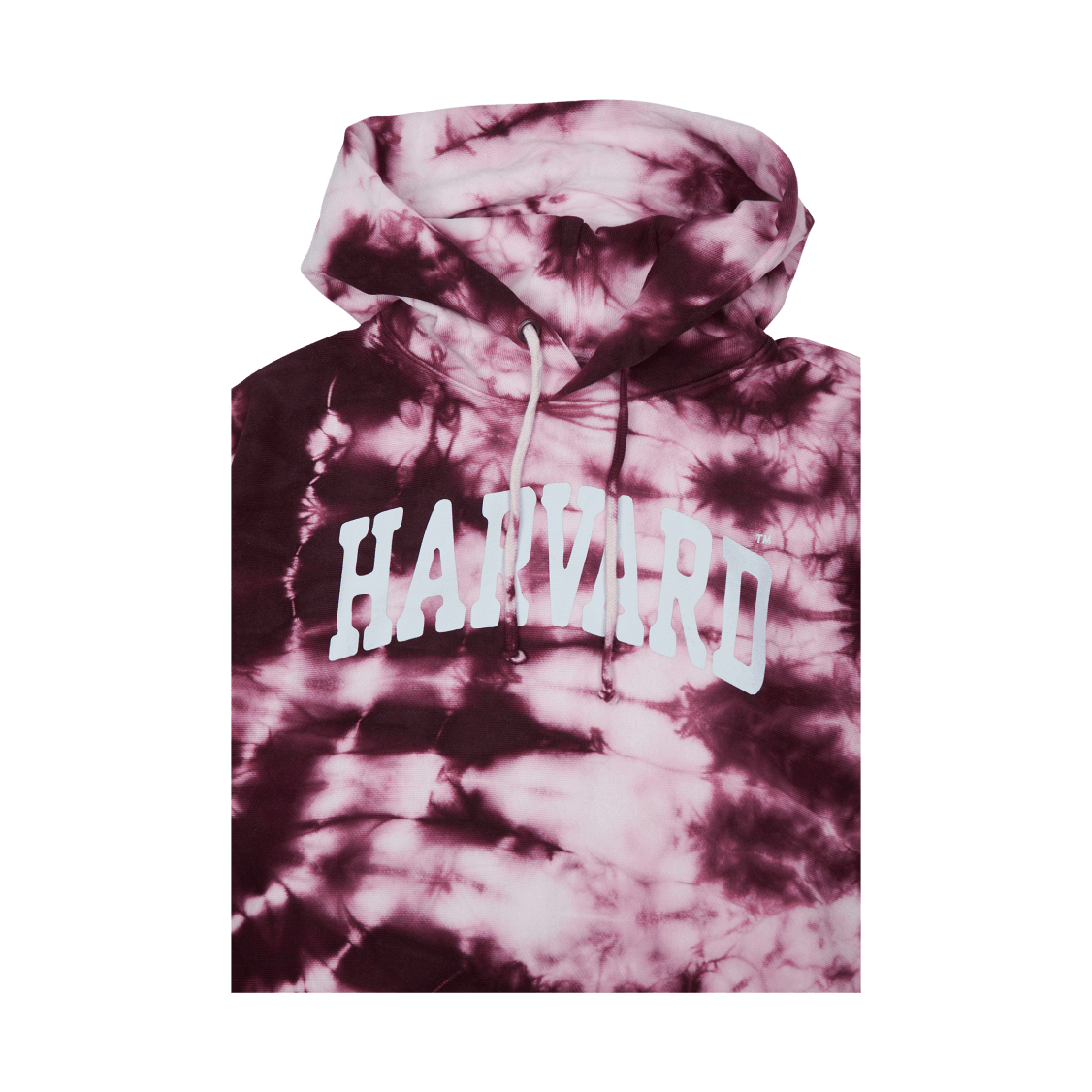 Champion Hooded Sweatshirt Zib