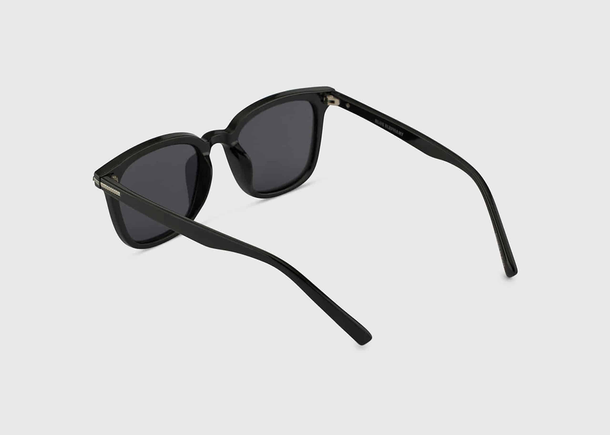 BLUE Elephant Sunglasses DUSTIN Black - Po