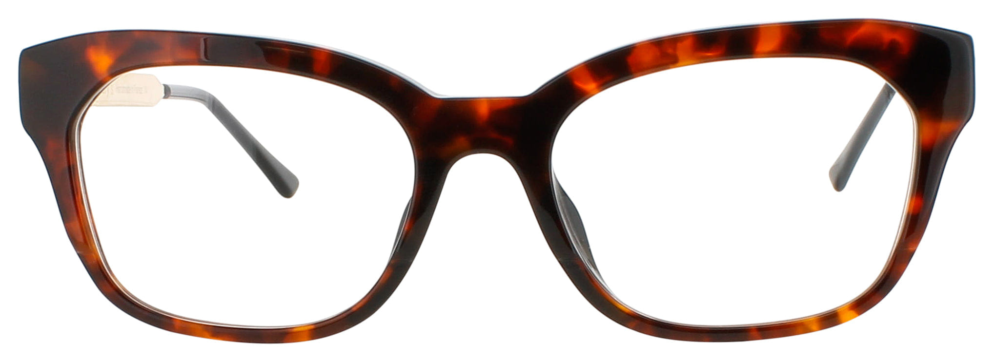 TORTOISE Harry Lary Optical Glasses TORTOISE