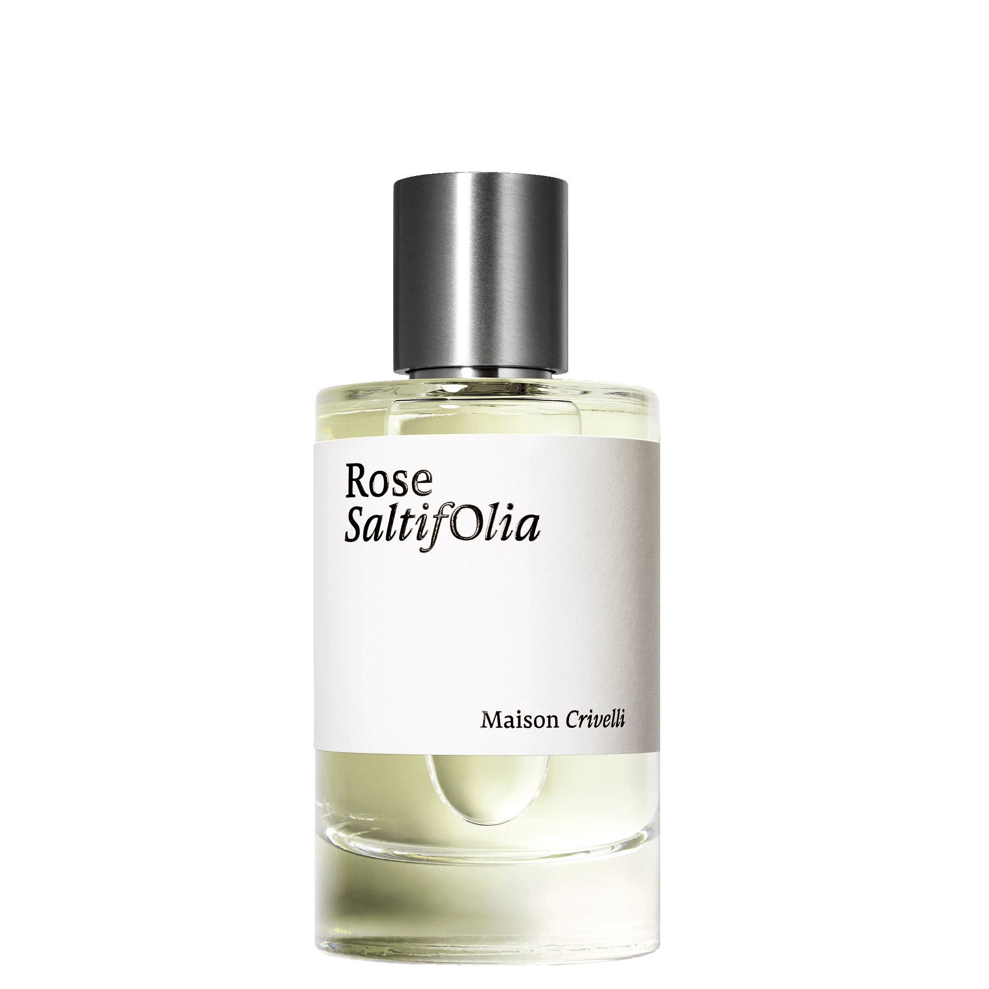 Maison Crivelli Rose Saltifolia