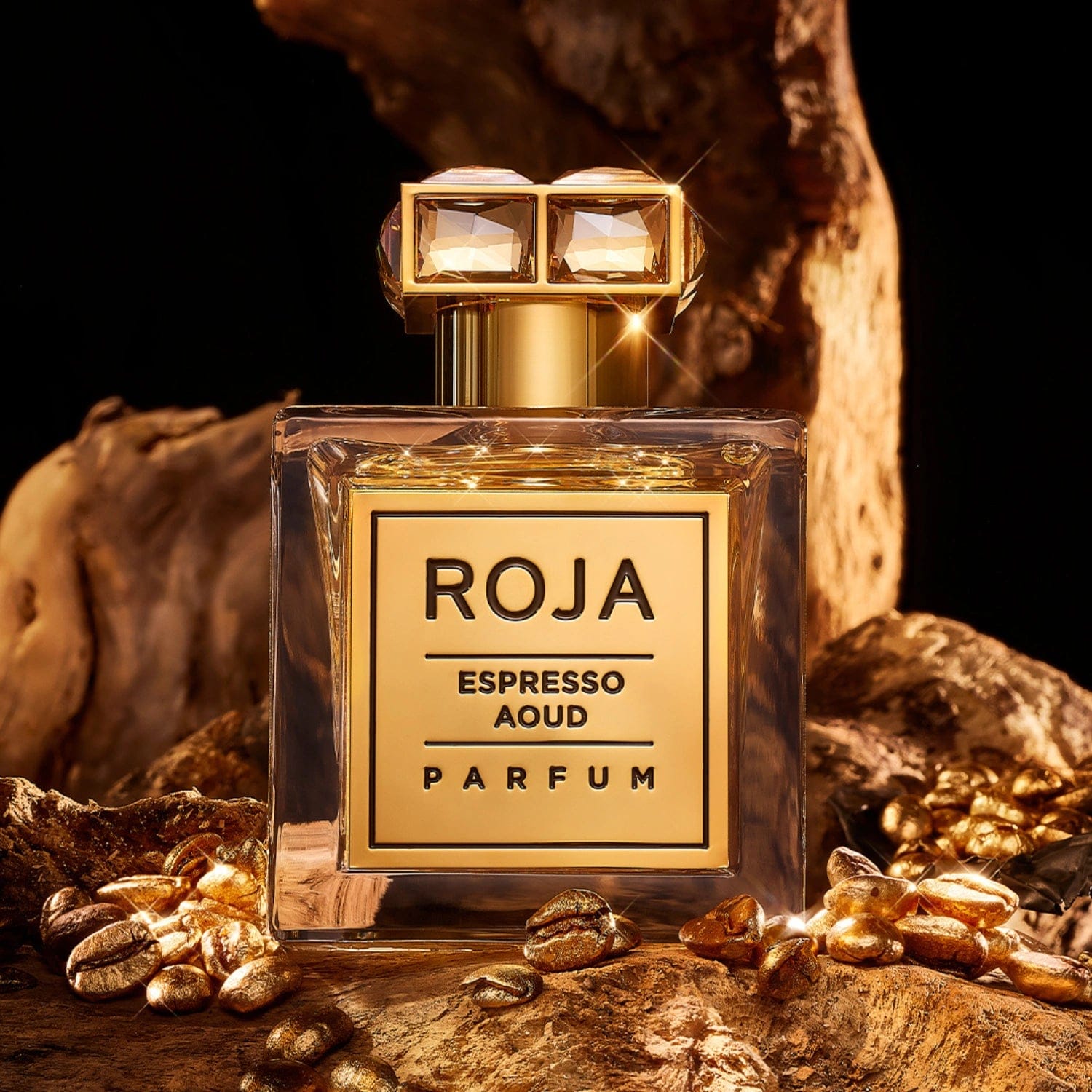 Roja Espresso Aoud Parfum