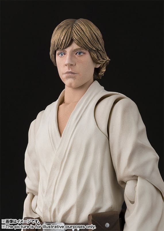 Bandai S.H. Figuarts Star Wars Luke Skywalker (A New Hope Reissue) Action Figure