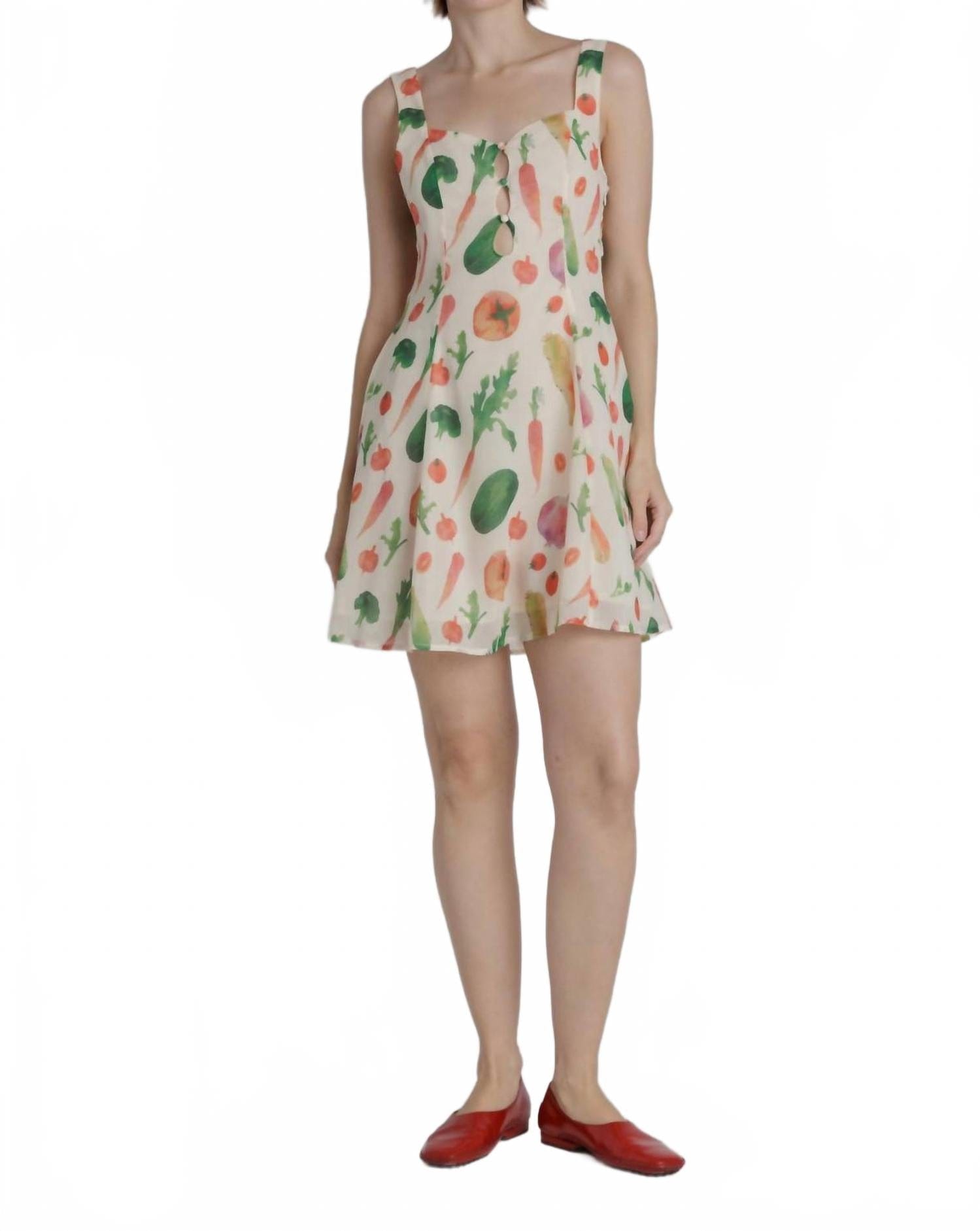 Summer Garden Mini Dress In Cream Multi