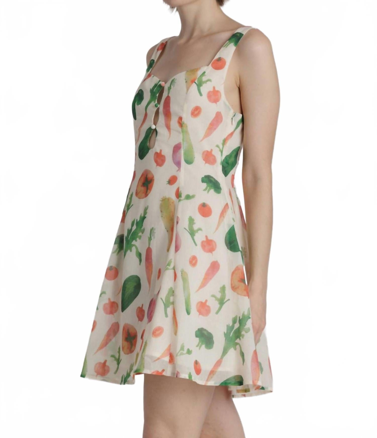 Summer Garden Mini Dress In Cream Multi