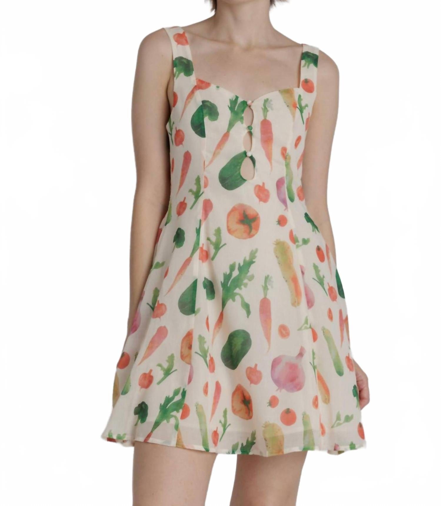 Summer Garden Mini Dress In Cream Multi
