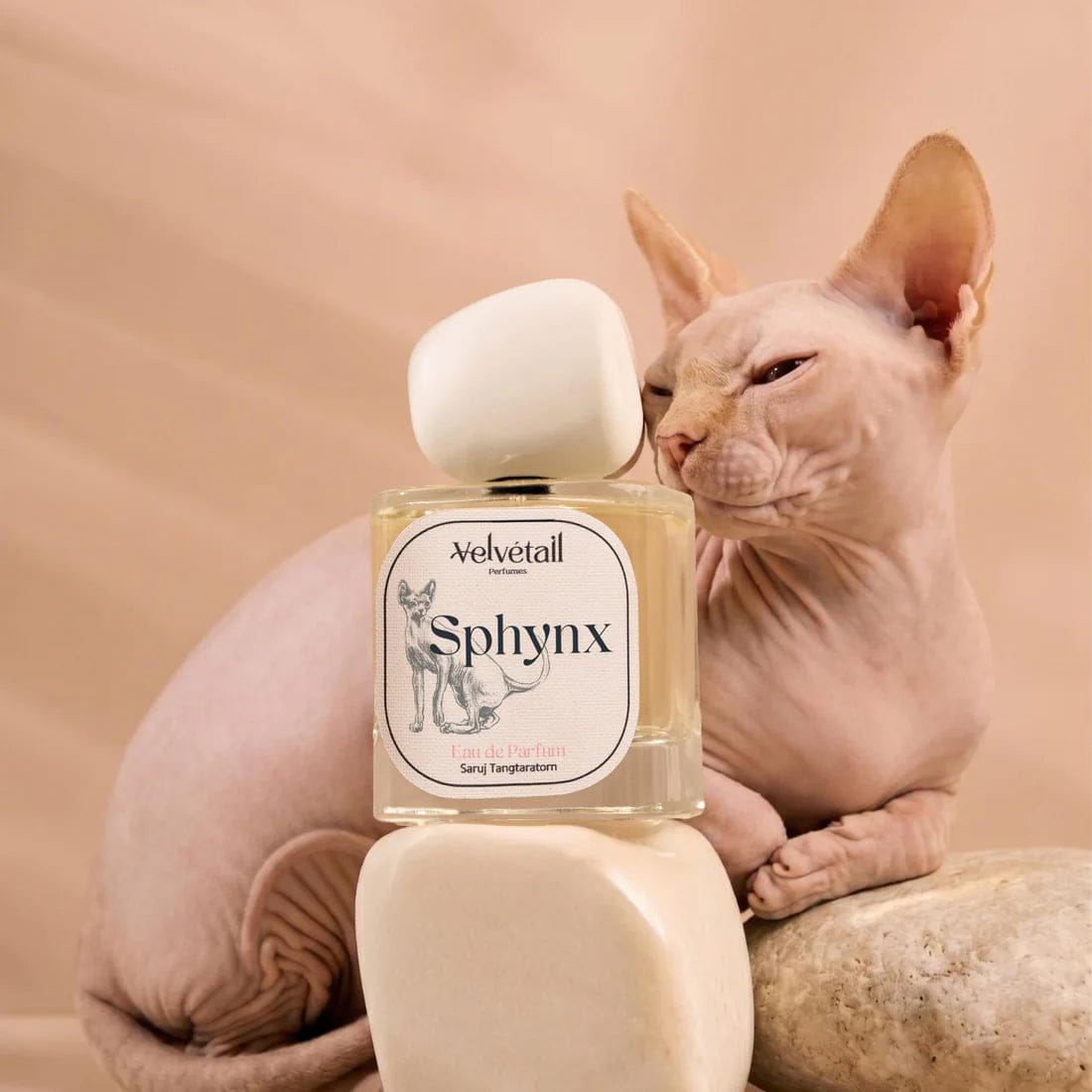 Velvétail Sphynx Eau de Parfum