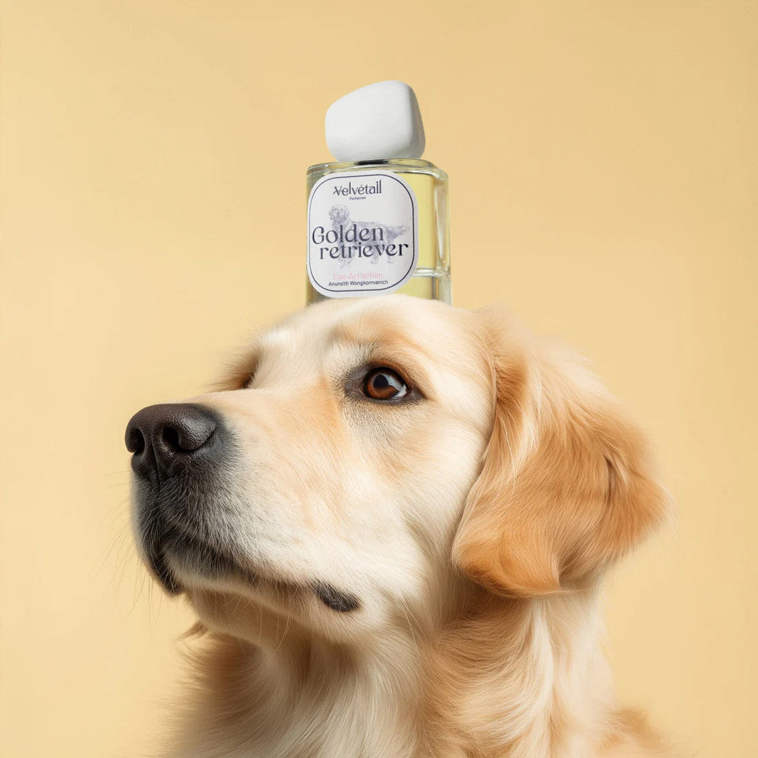 Velvétail Golden Retriever Eau de Parfum