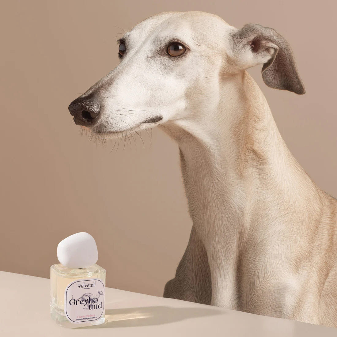 Velvétail Greyhound Eau de Parfum