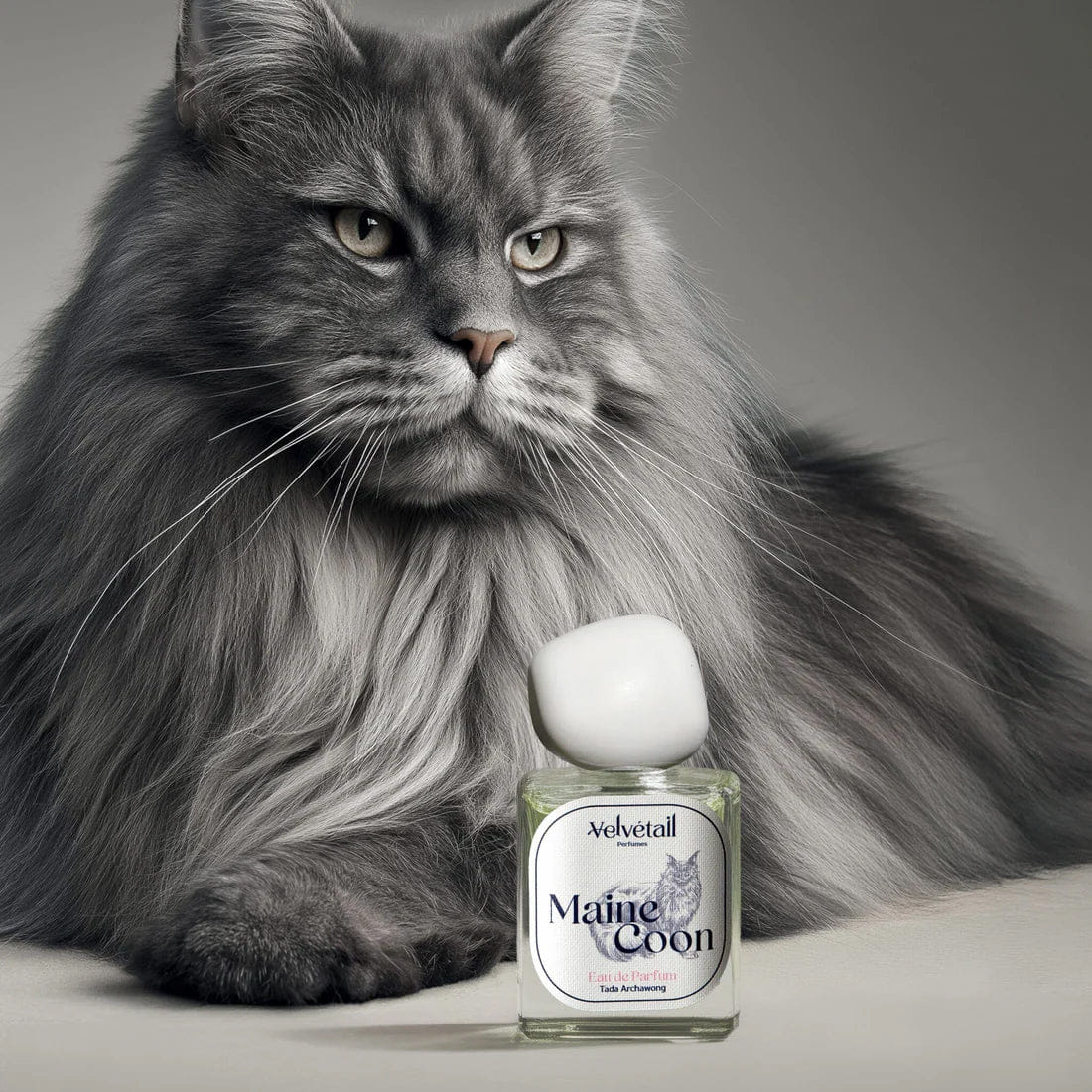 Velvétail Maine Coon Eau de Parfum