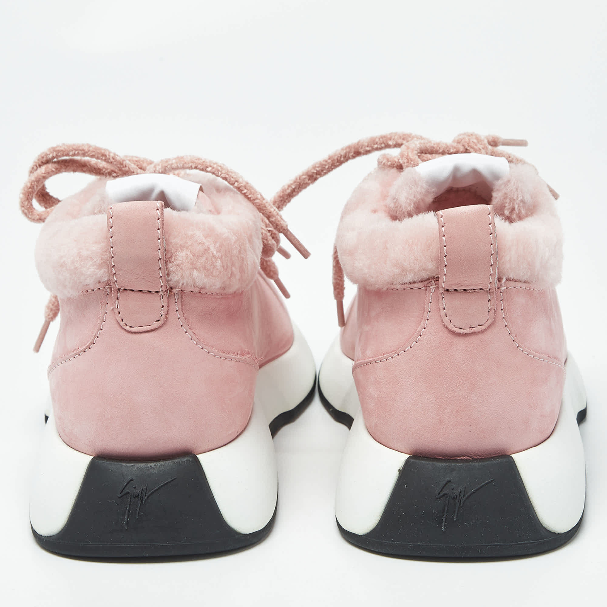 Giuseppe Zanotti Ferox