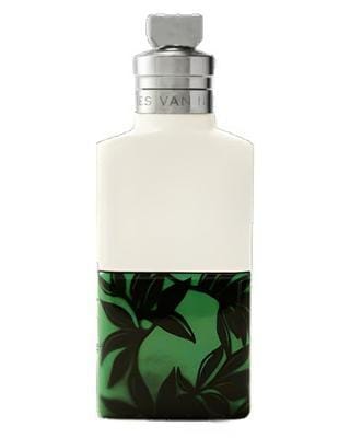 Dries Van Noten Santal Greenery