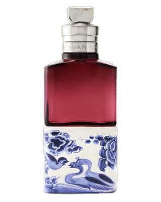 Dries Van Noten Soie Malaquais