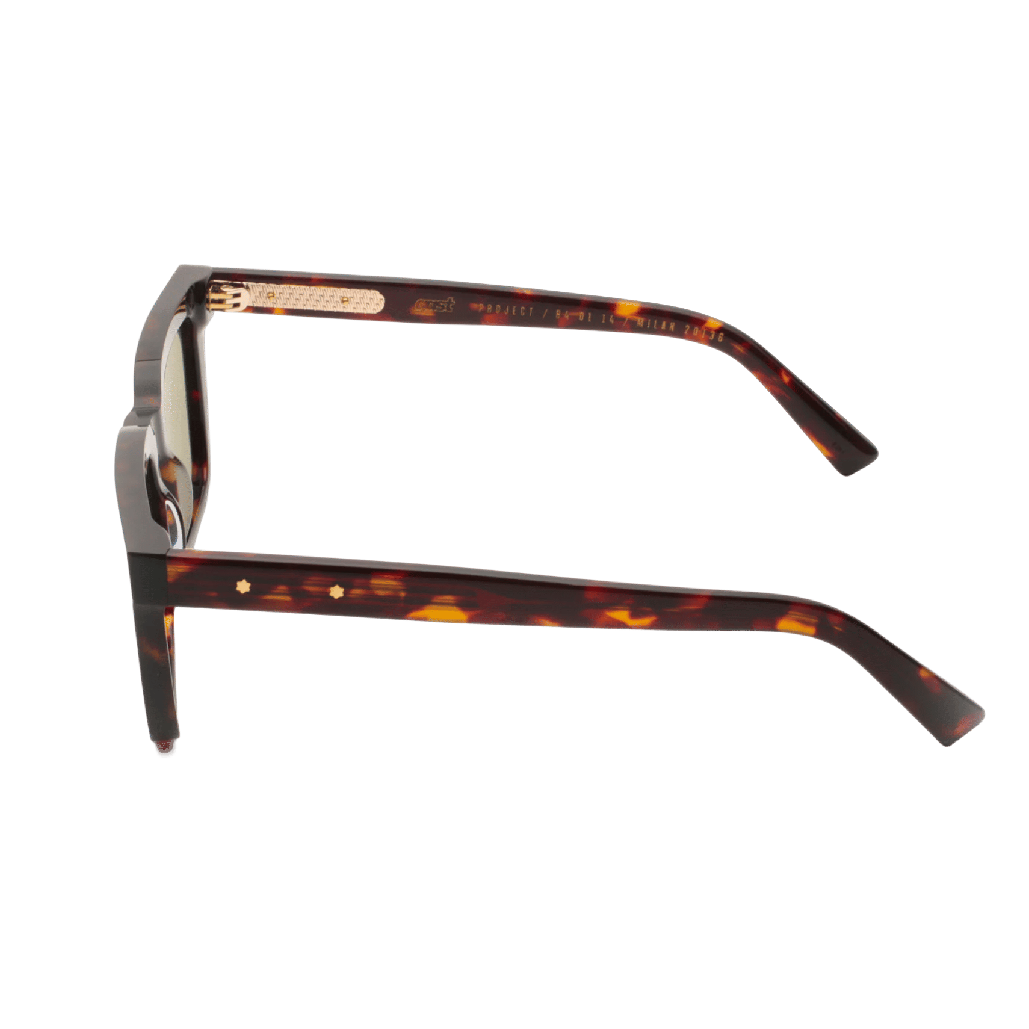 GAST DRAVA SUNGLASSES (HAVANA)