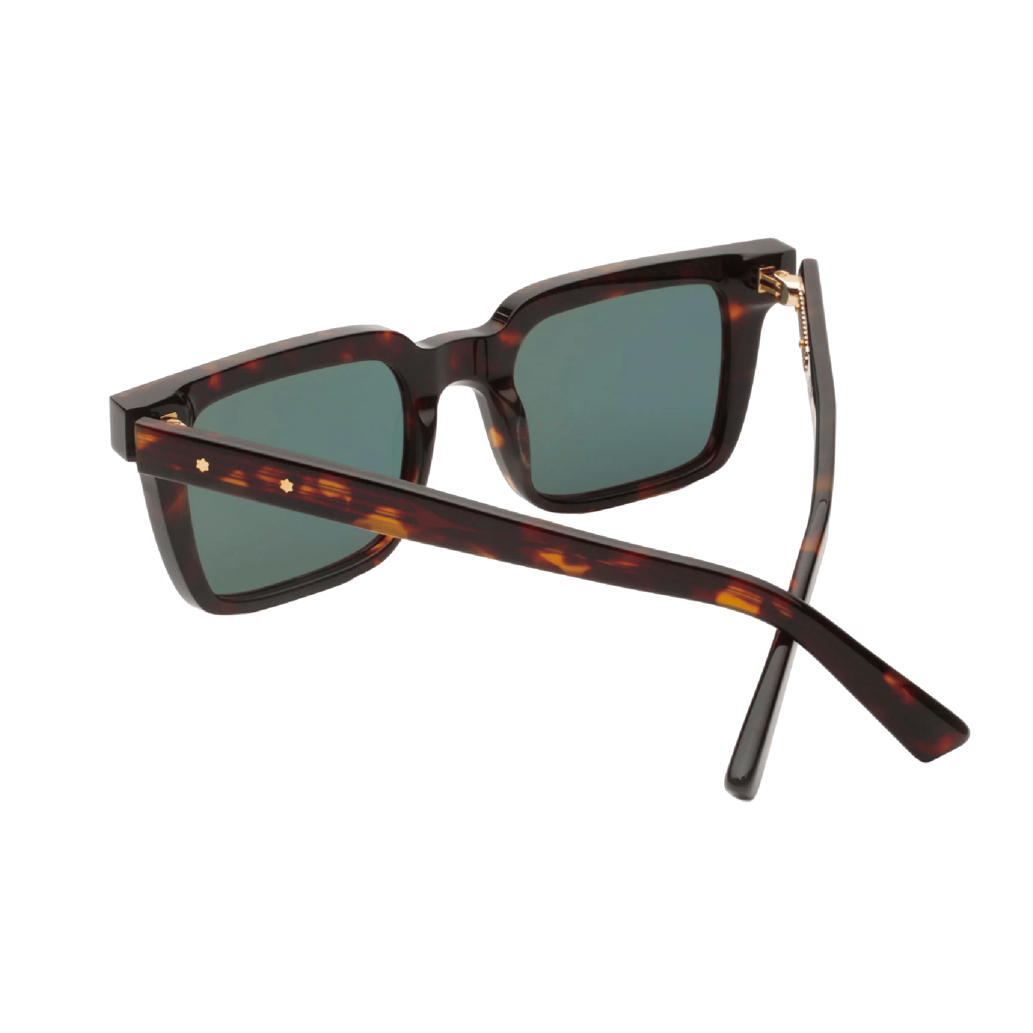 GAST DRAVA SUNGLASSES (HAVANA)