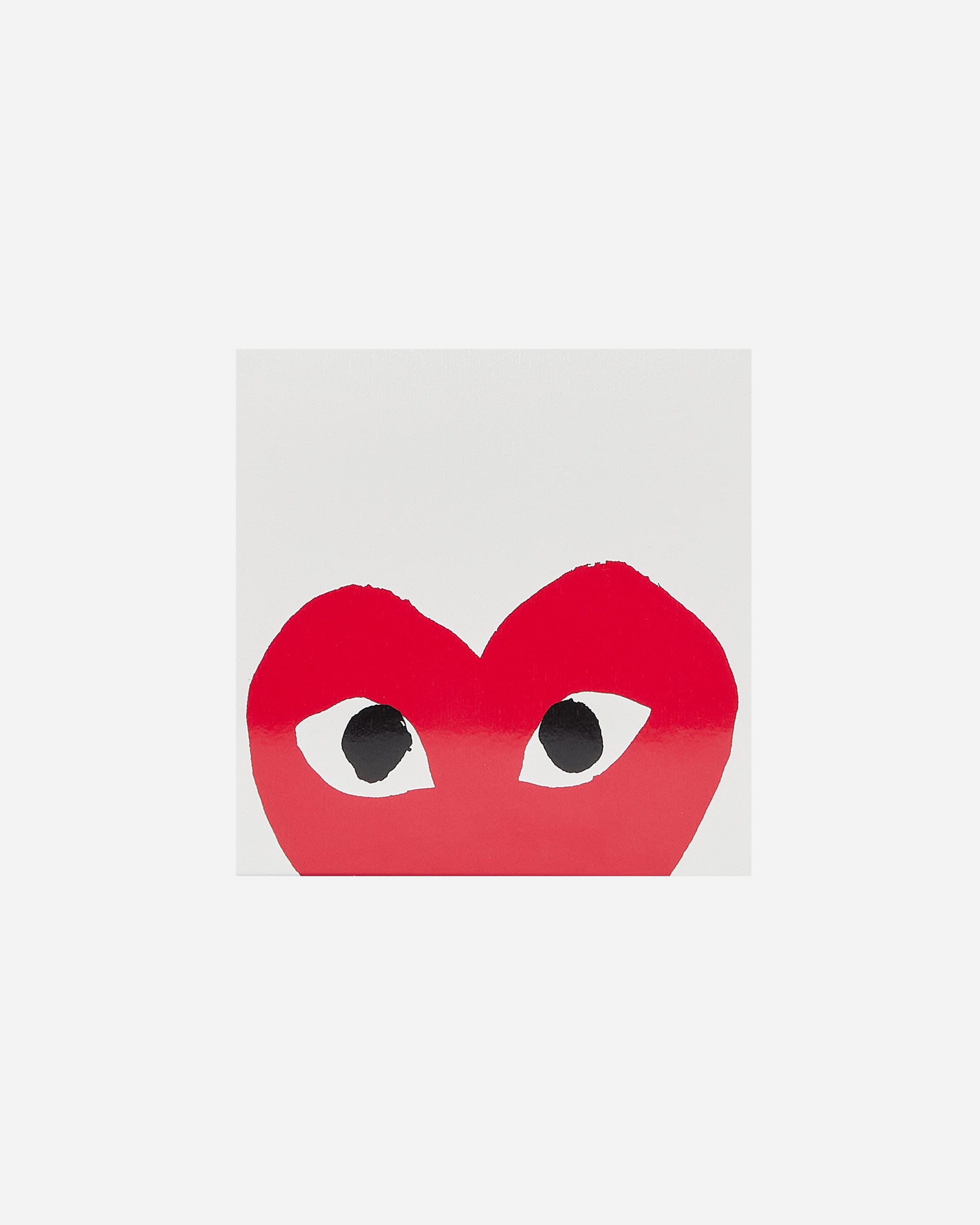 Comme des Garçons Parfum CDG2 MAN Eau de Toilette