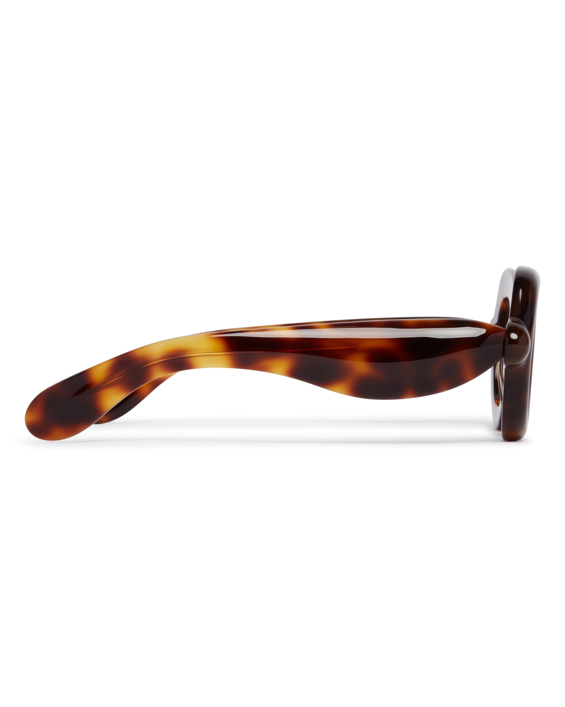 Paloceras Occhiali Da Sole Pebble Havana Gold VX Marroni