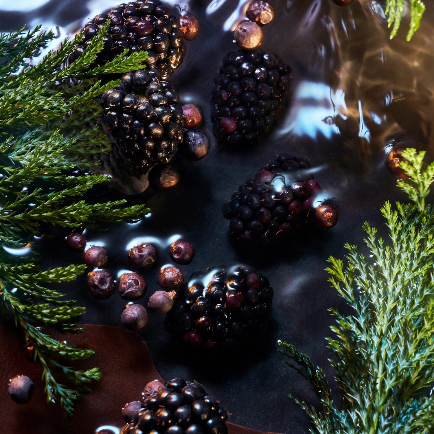 Roja Elysium Noir