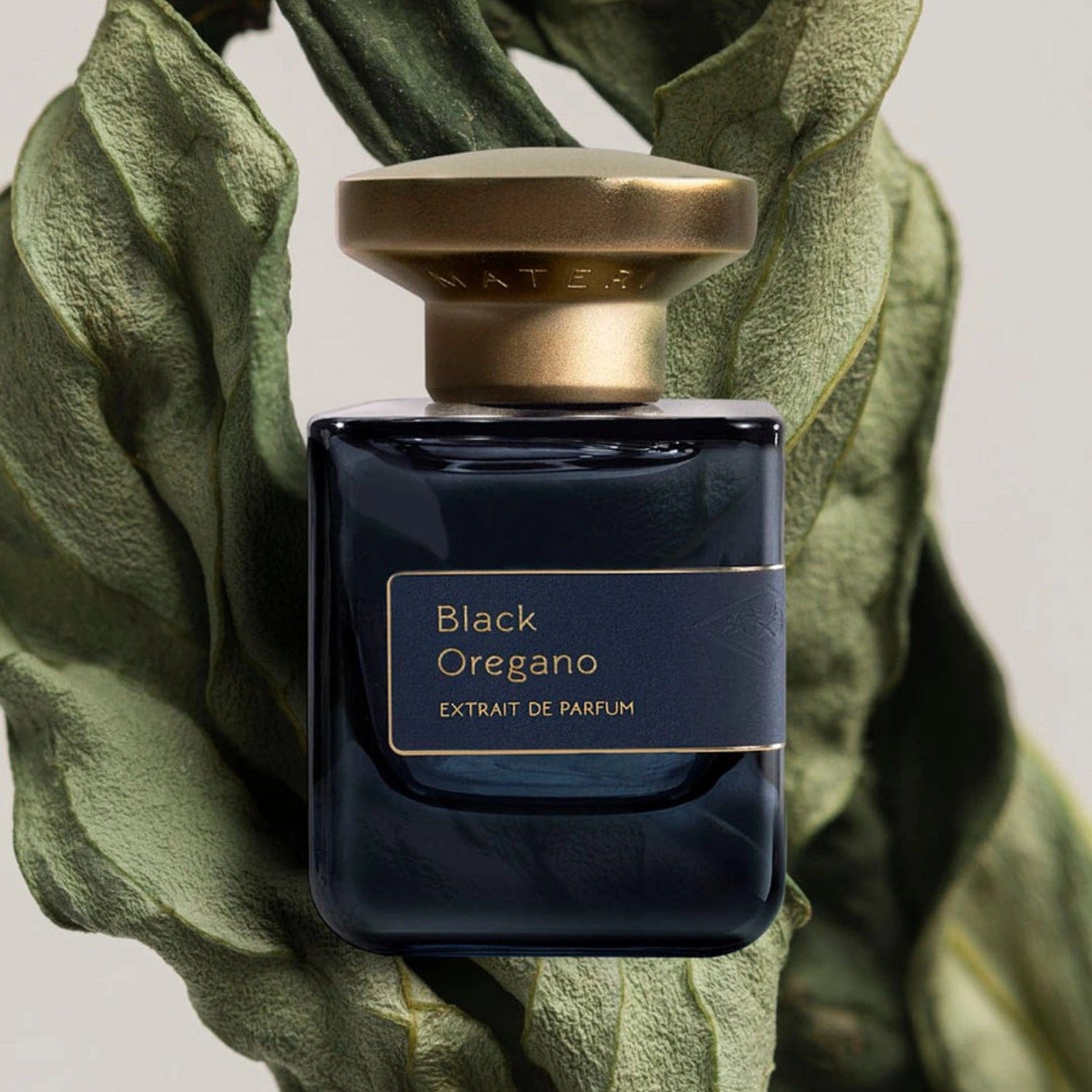 Atelier Materi Black Oregano Extrait de Parfum