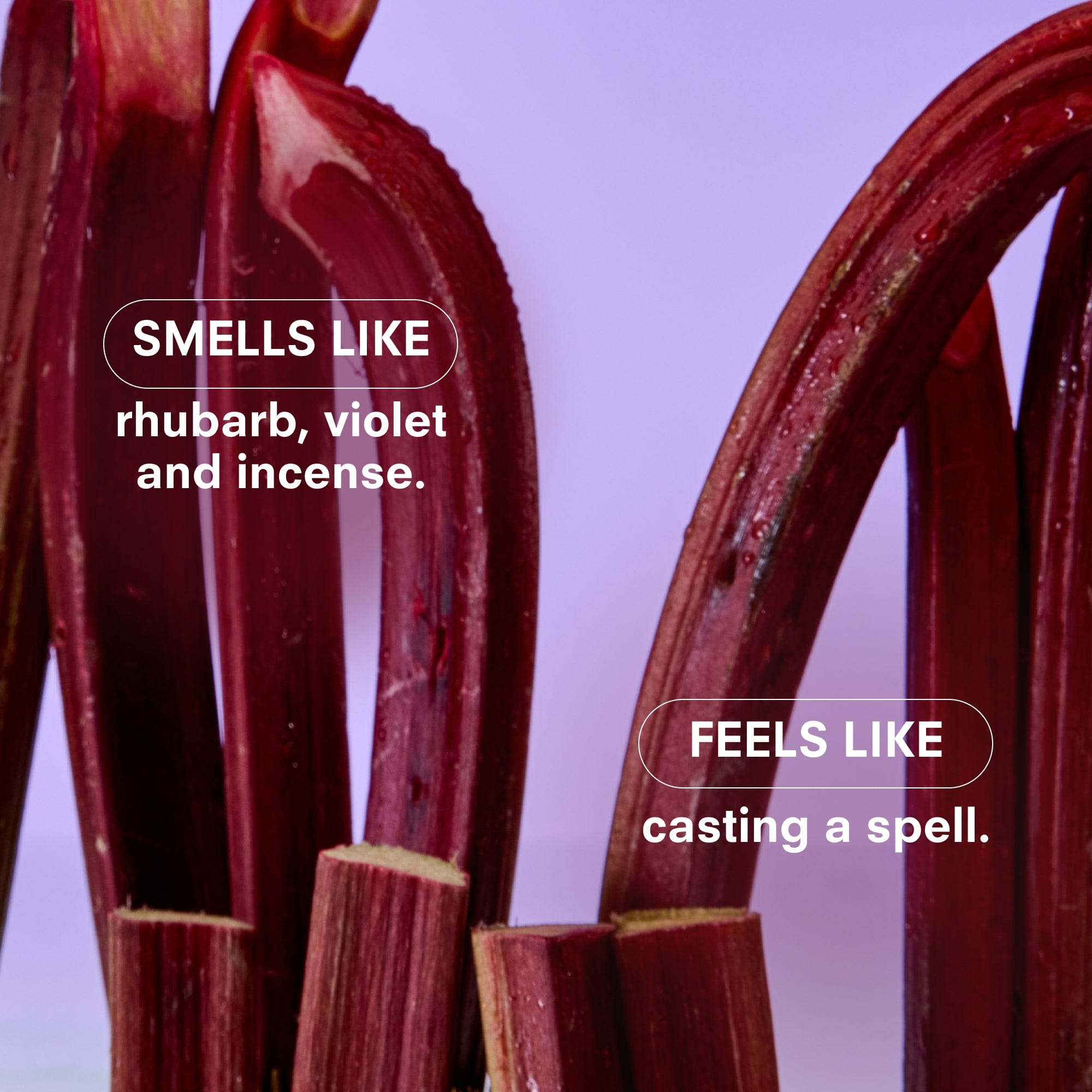 Boy Smells, CDP VIOLET ENDS