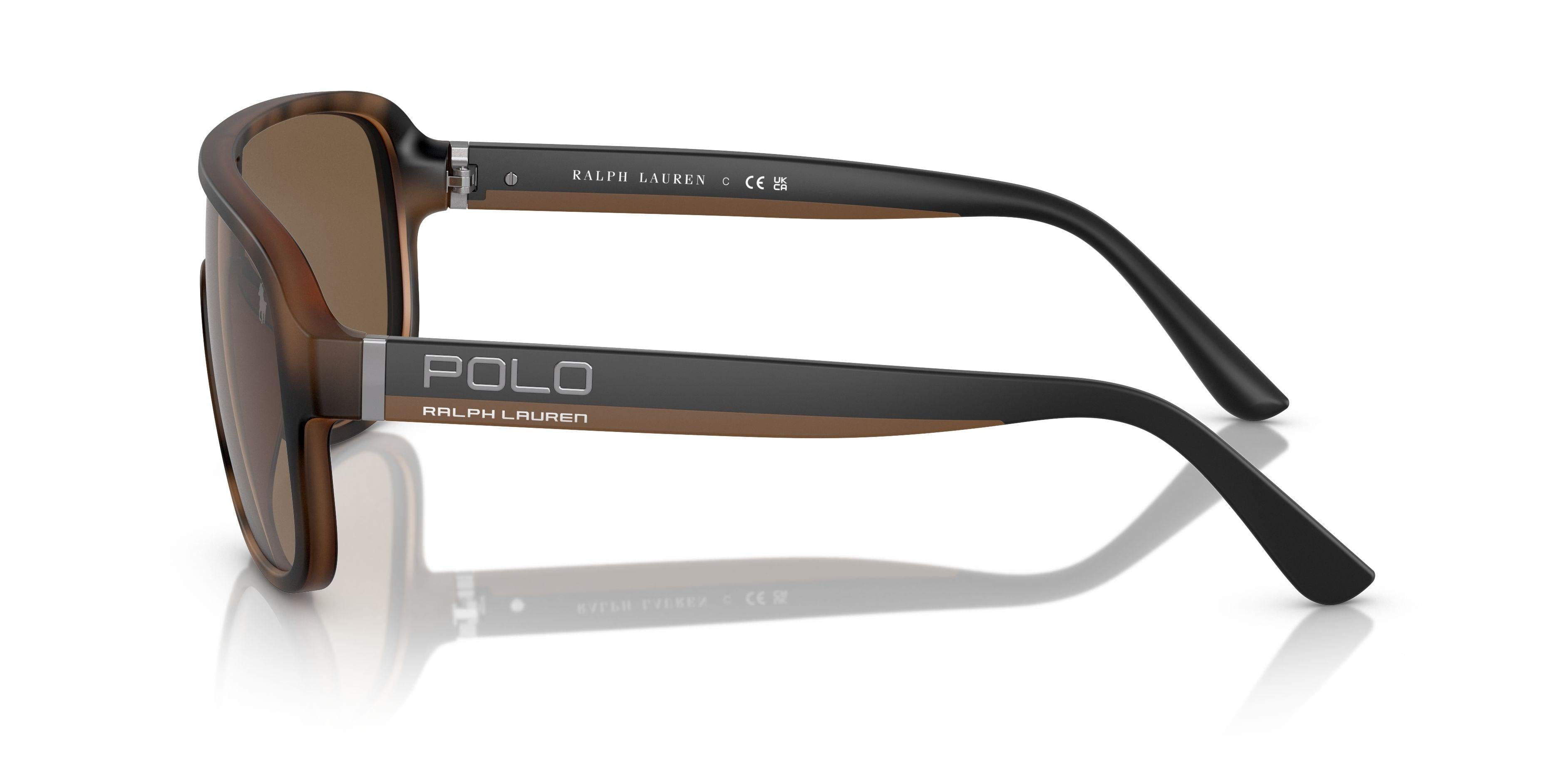 Polo 4196U Sunglasses