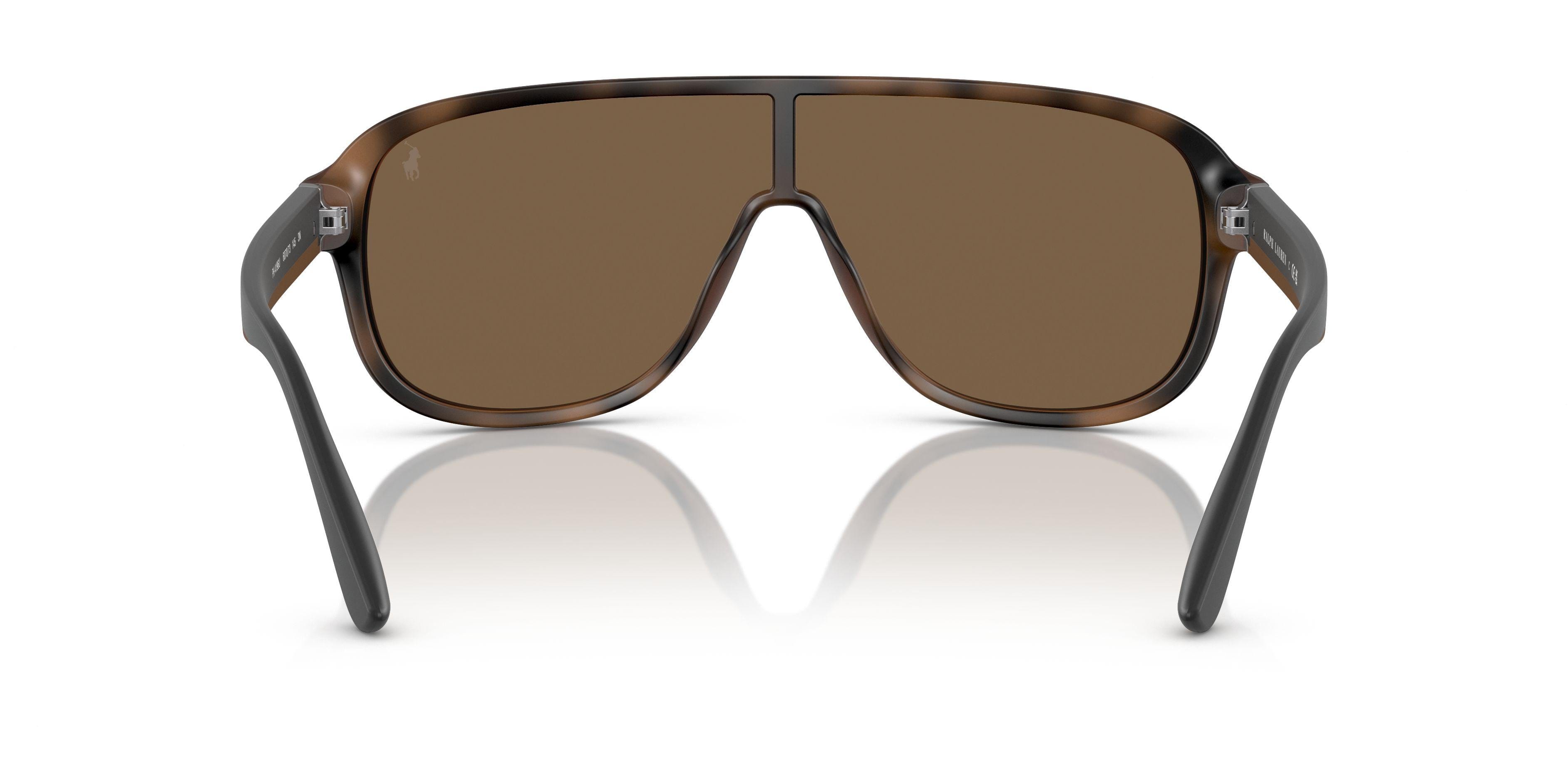 Polo 4196U Sunglasses