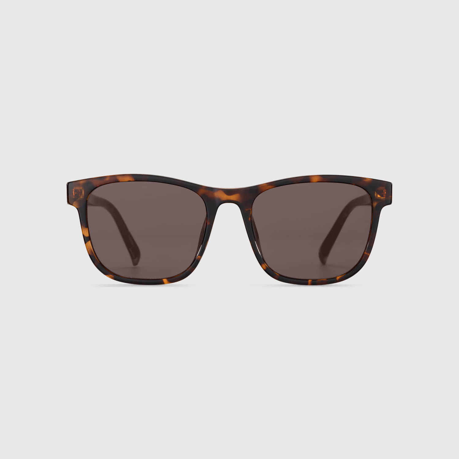 BLUE Elephant Sunglasses VEIL Leopard