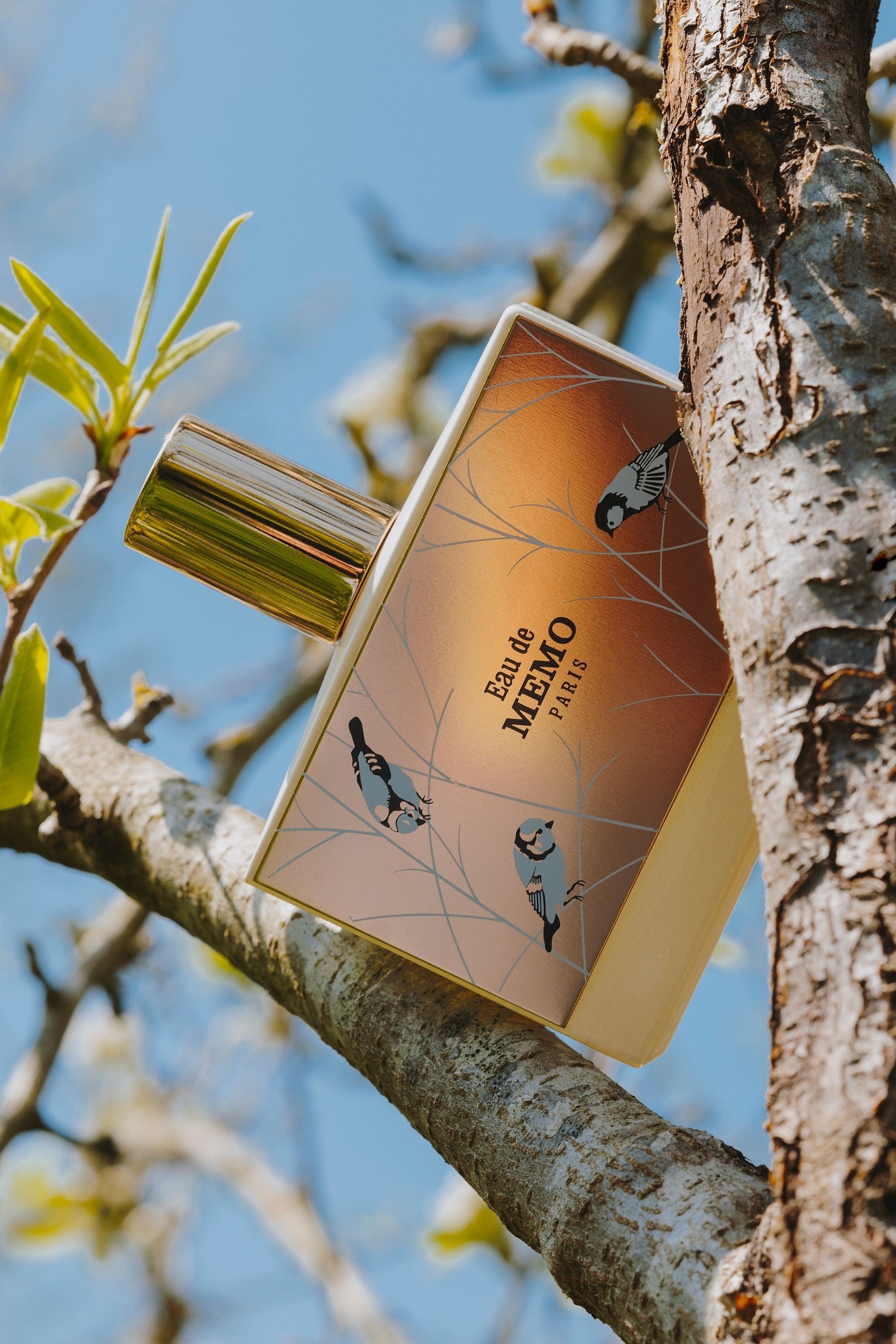 Memo Eau de Memo