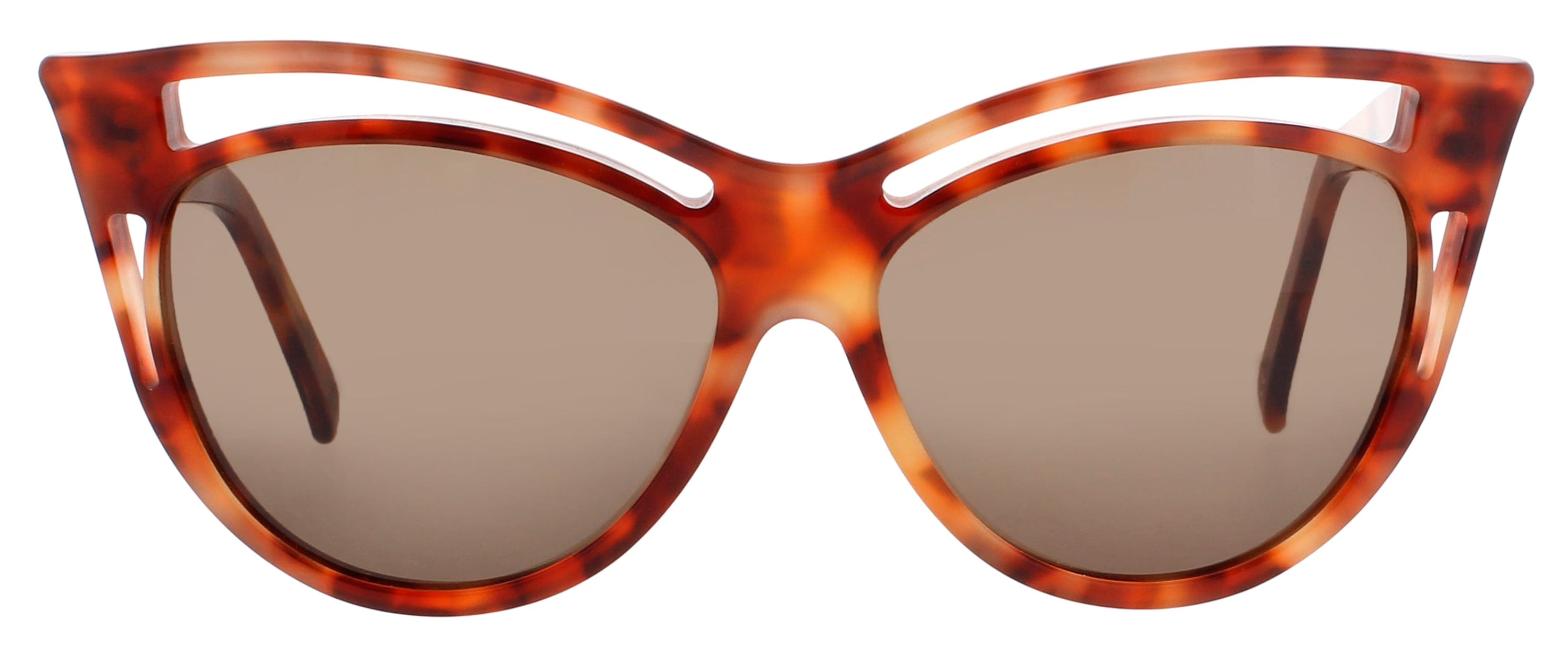 Andy Wolf Sunglasses HAVANA