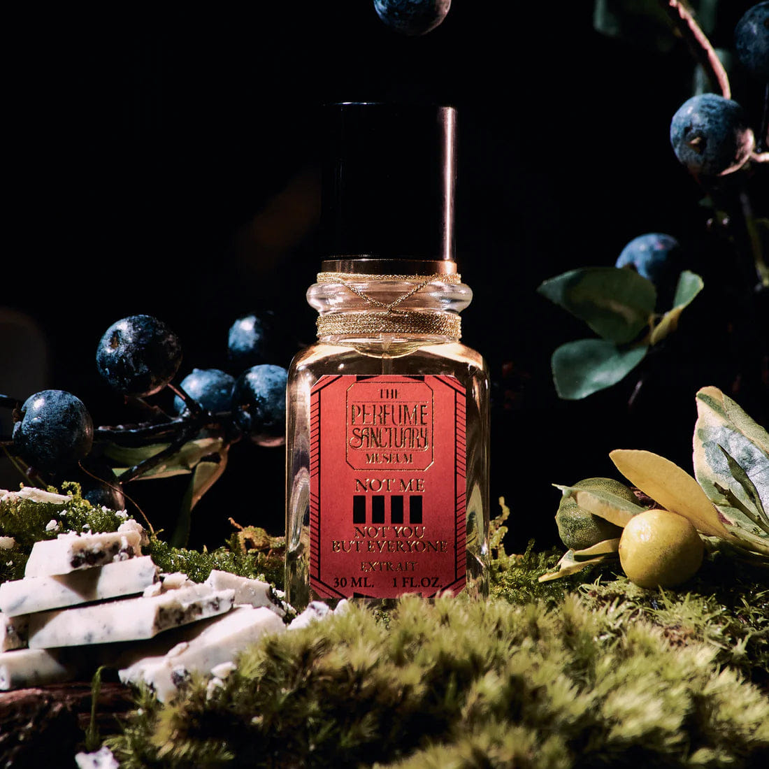 The Perfume Sanctuary Not Me Not You But Everyone Extrait de Parfum