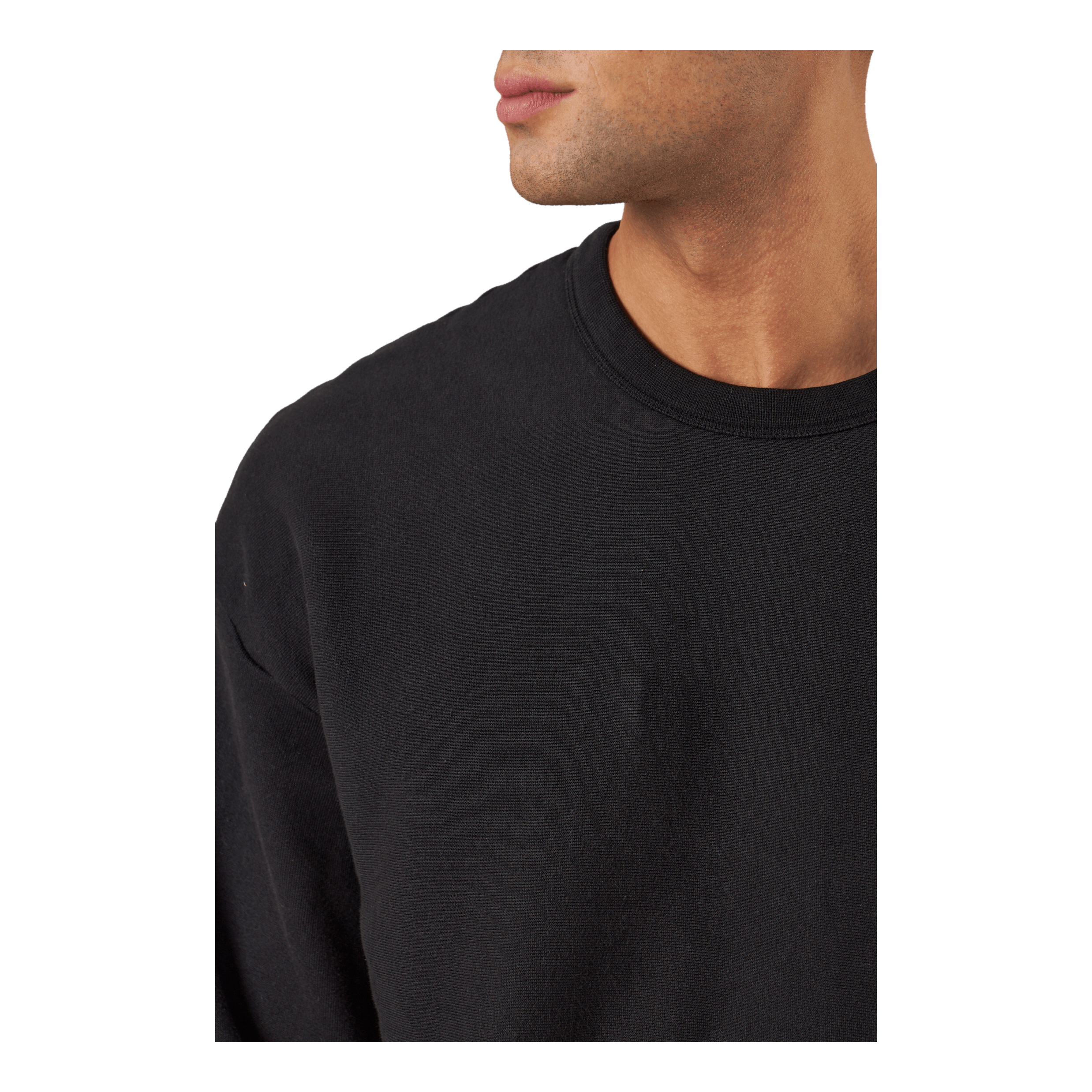 Champion Crewneck Sweatshirt Beauty