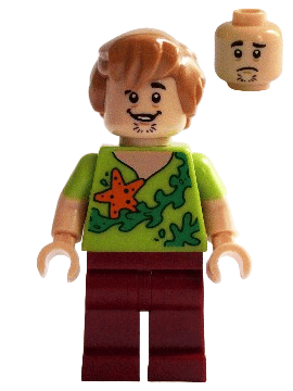 LEGO MINIFIG Scooby - Doo Shaggy Rogers scd012
