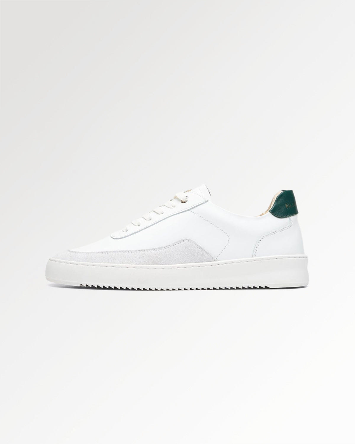 Conventional Mondo Squash White