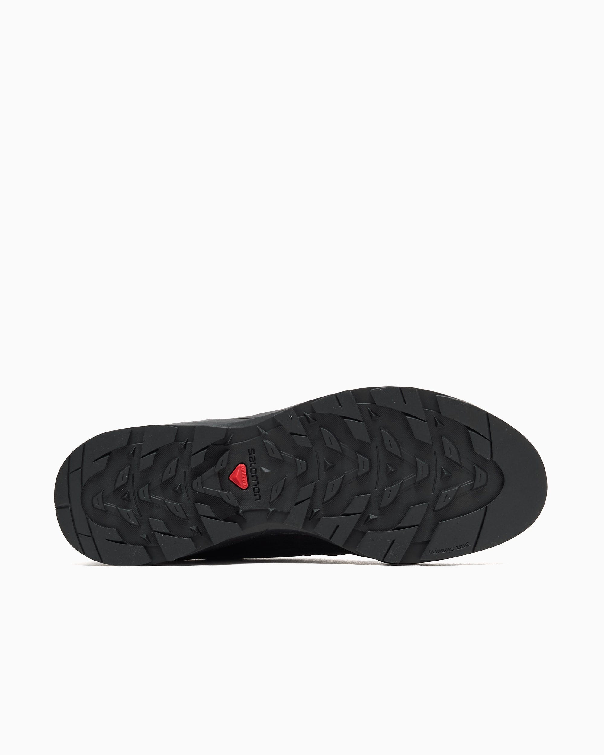 Salomon Advanced x Carhartt WIP X - ALP