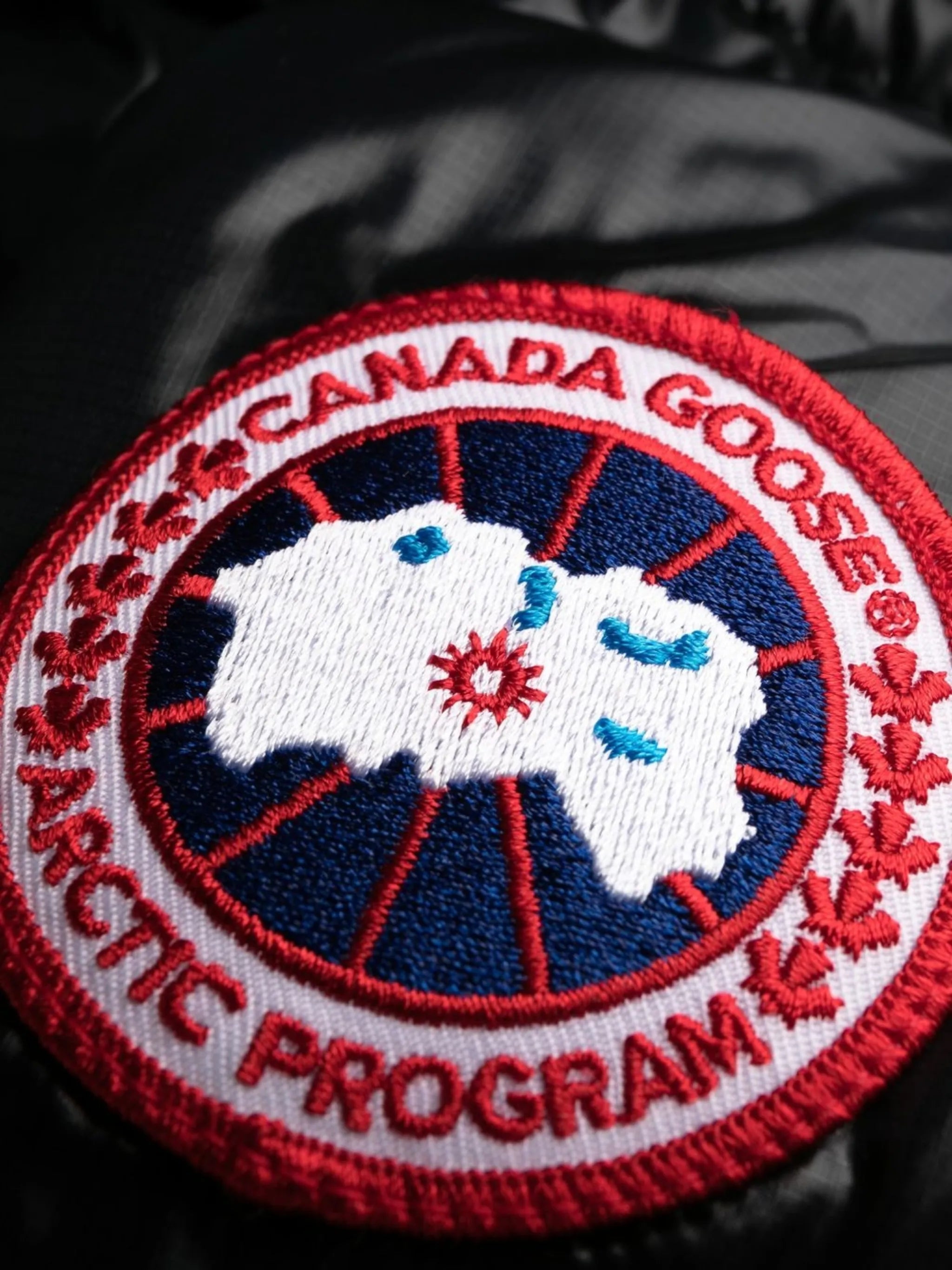 Canada Goose Cypress padded hooded jacket