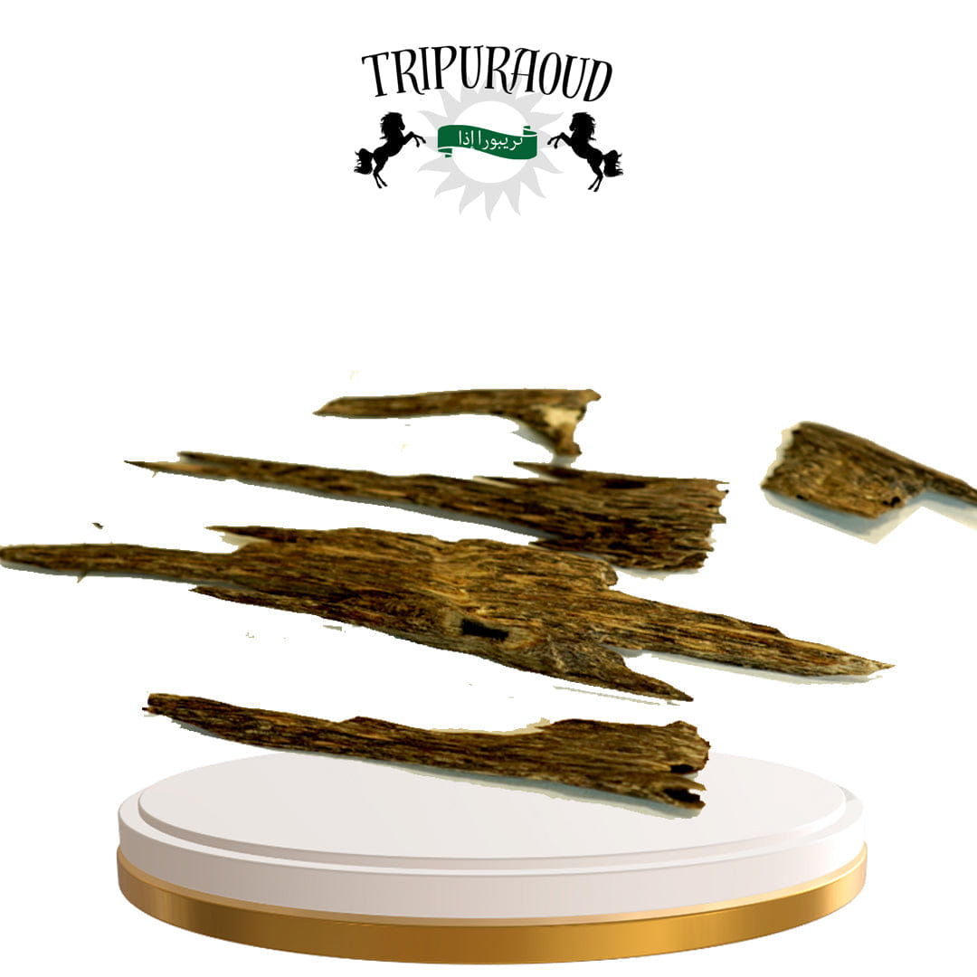 #त्रिपुरा - Agar - Tripura Agarwood Oud Chip 4A Grade From Tripura - 100 Grams