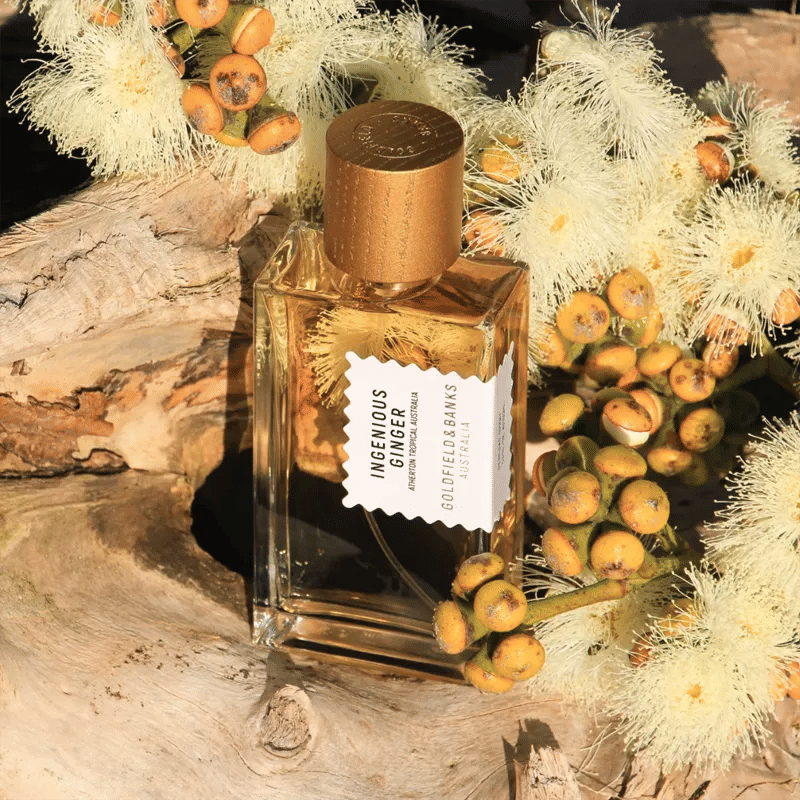 Goldfield and Banks Parfum Ingenious Ginger 100 ml