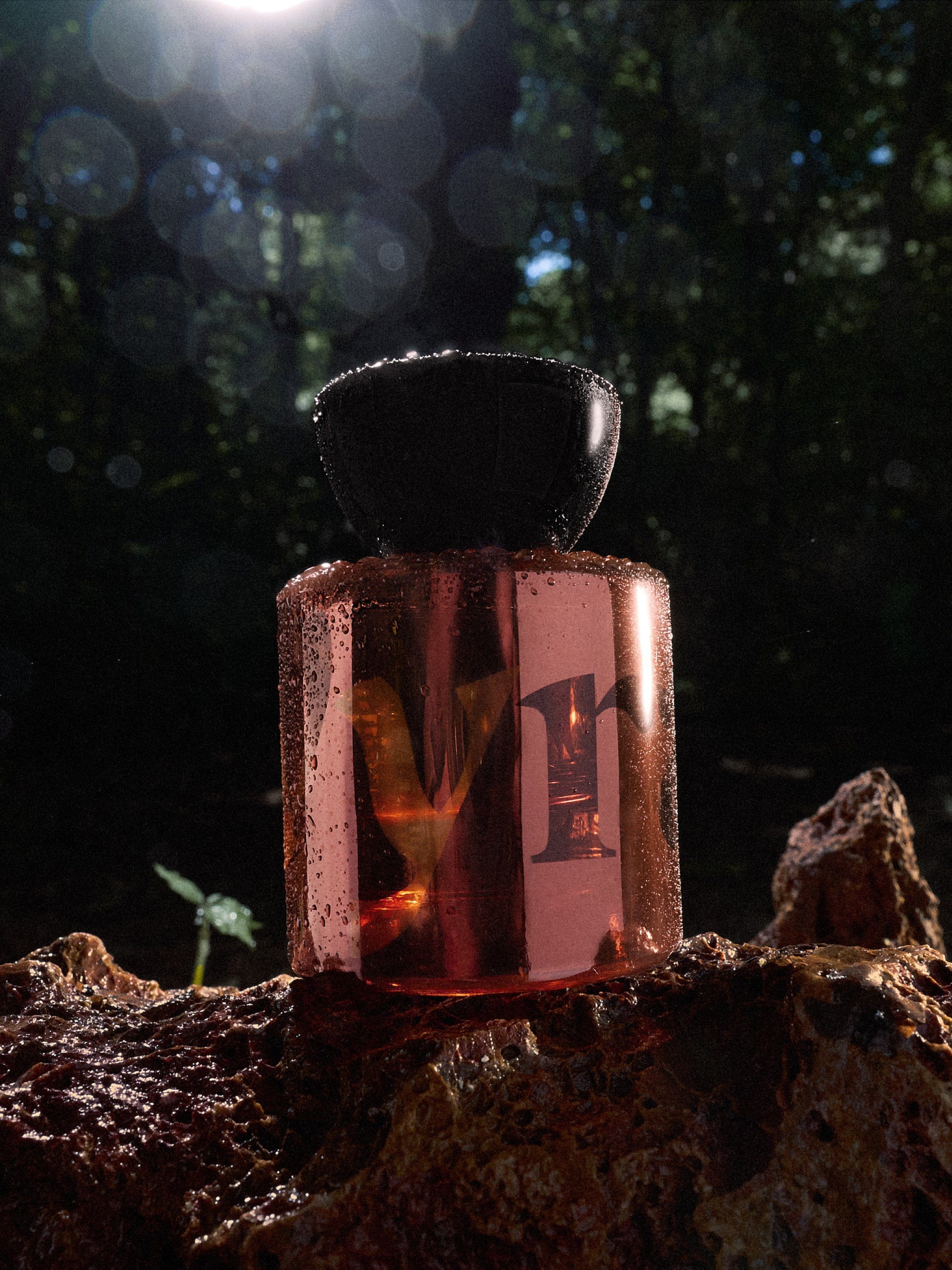 Vyrao Mamajuju EDP for Grounding and Awareness