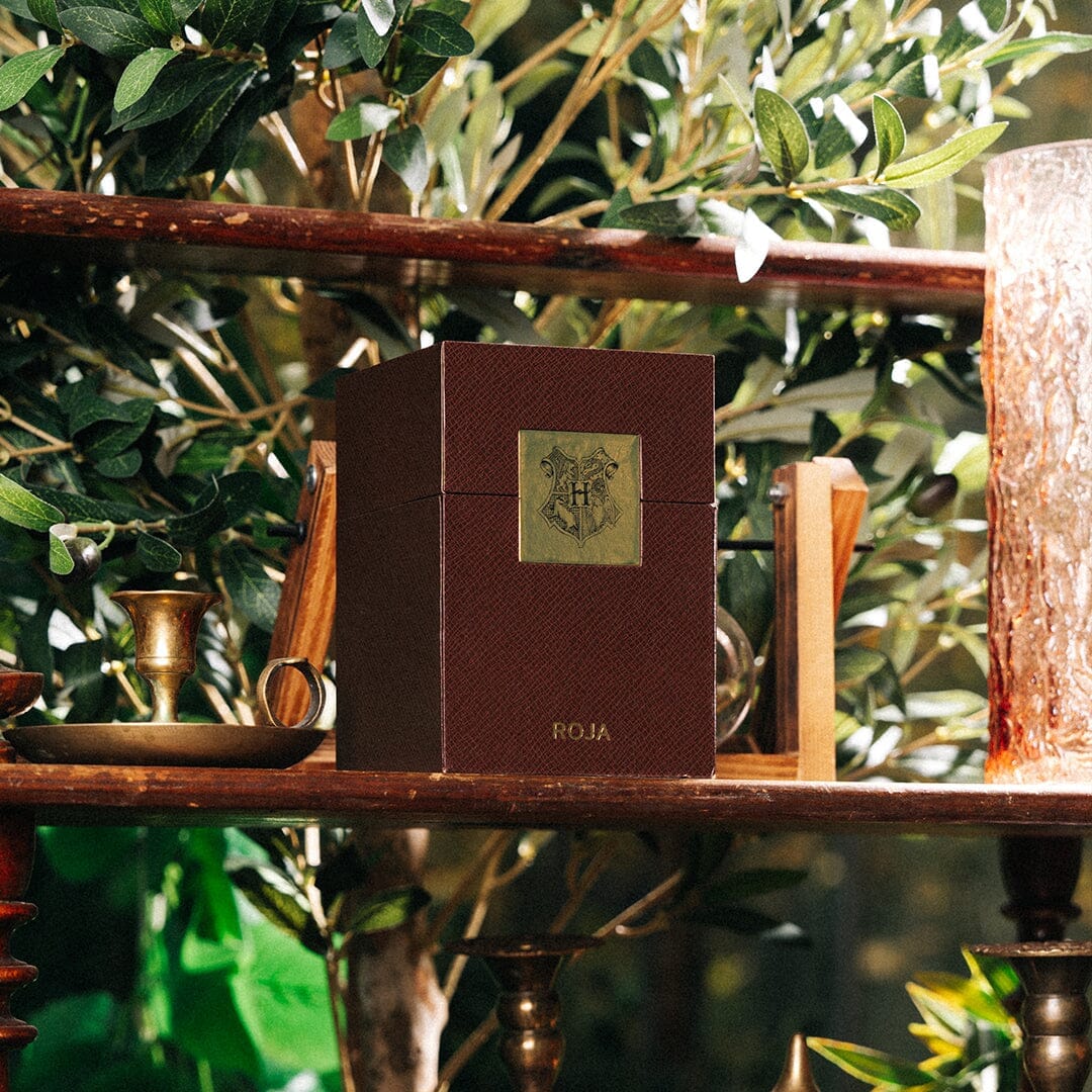 HARRY POTTER BURLINGTON 1819 LIMITED - EDITION