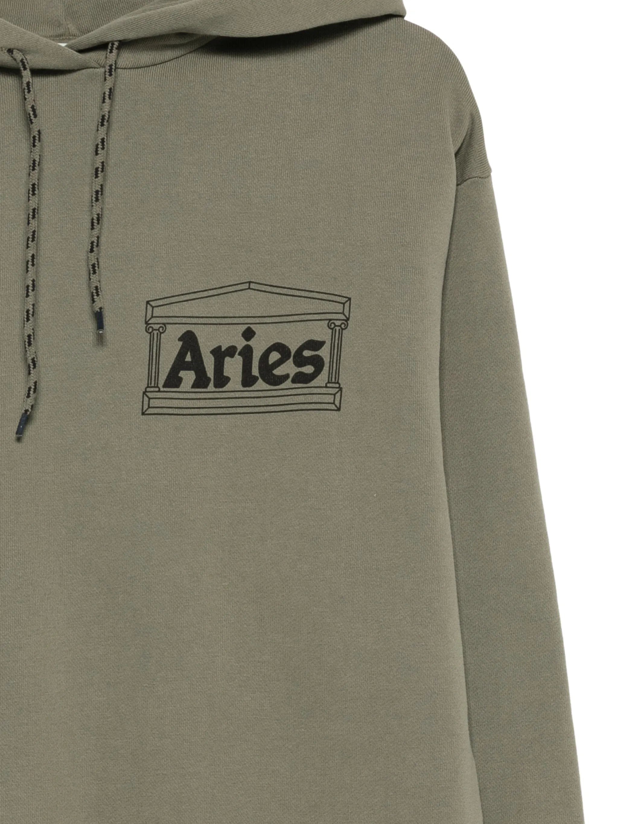 Aries temple - print hoodie