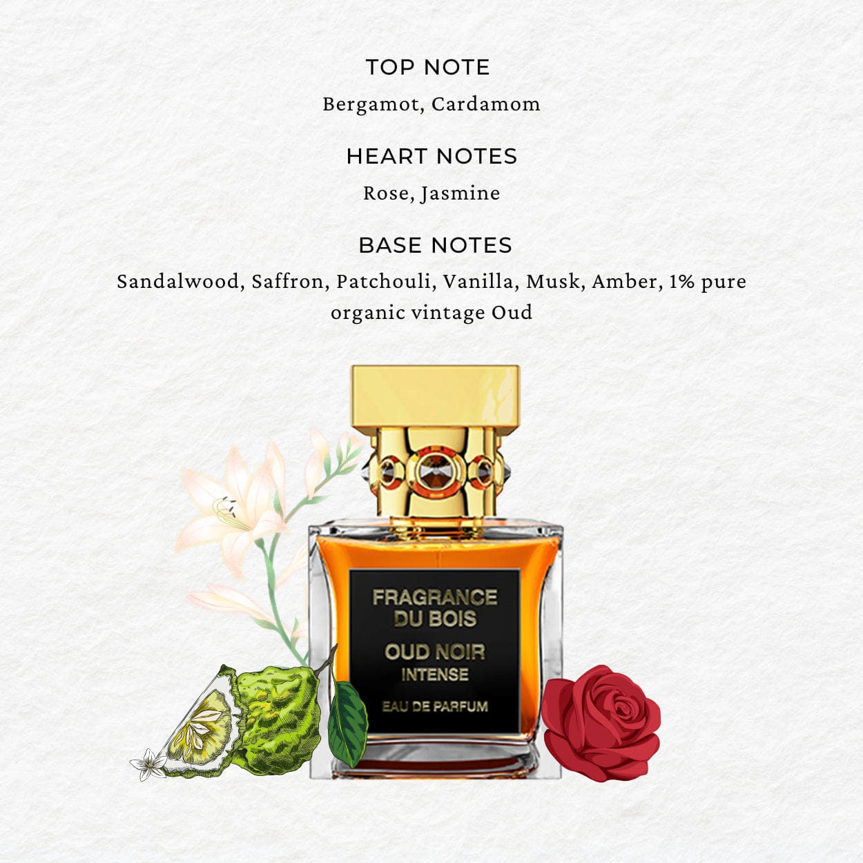 Fragrance du Bois Oud Noir Intense