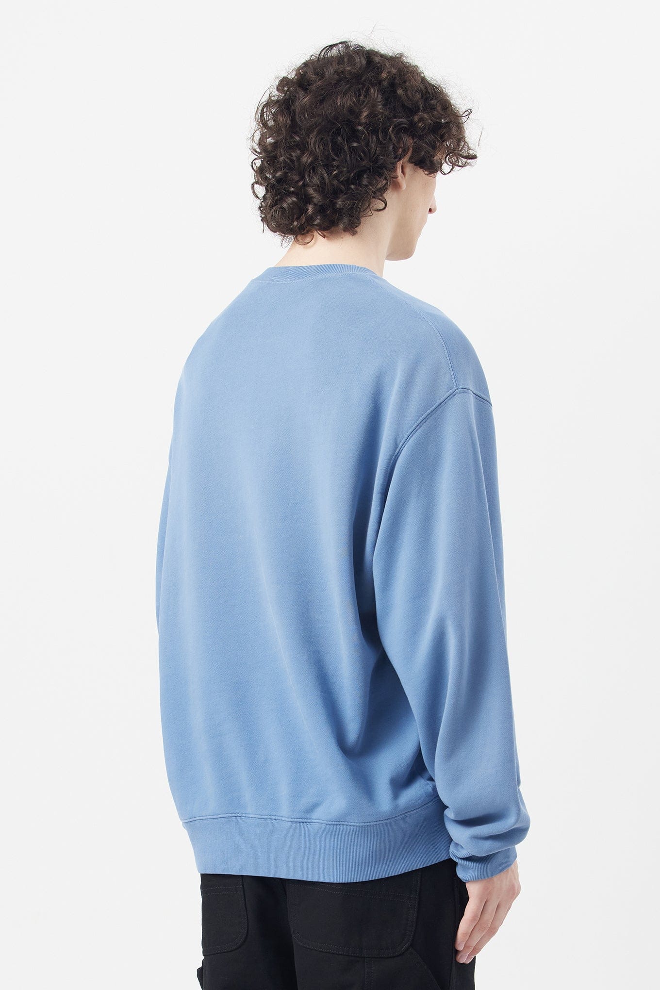 Carhartt WIP HUDSON SWEATSHIRT