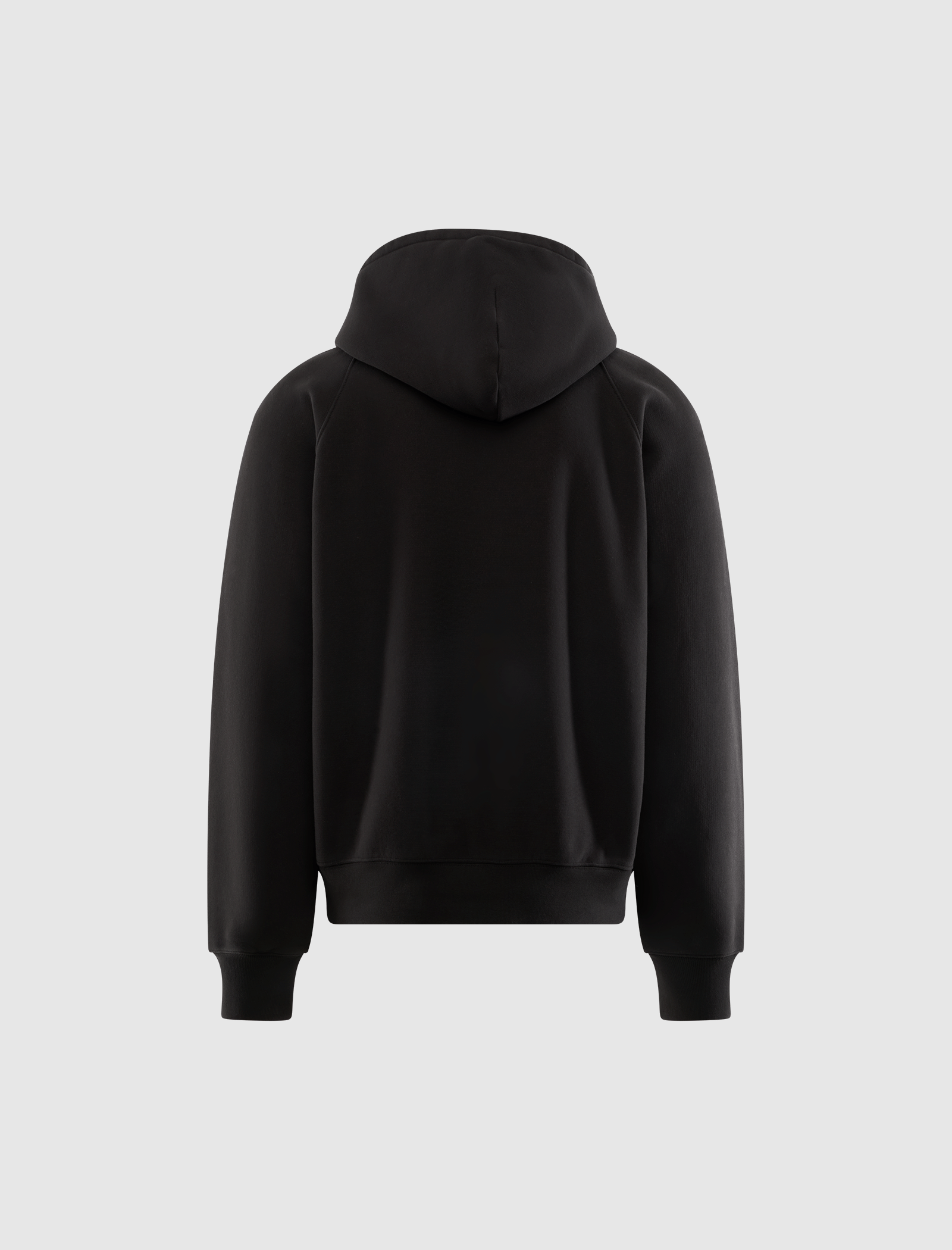 STÜSSY FLEECE RAGLAN HOODIE