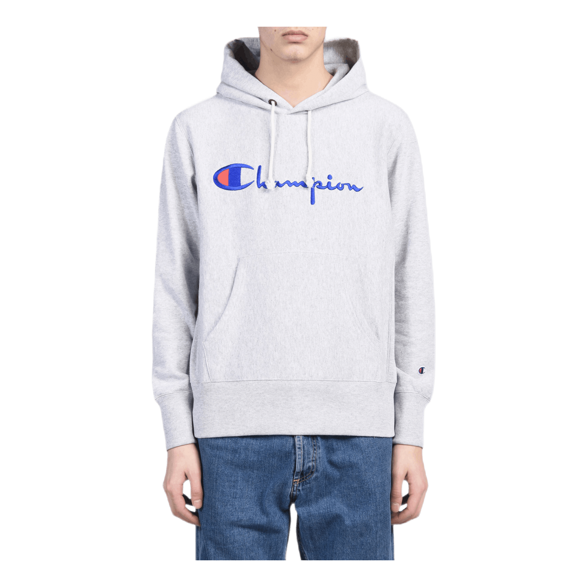 Champion Hooded Sweatshirt Gray